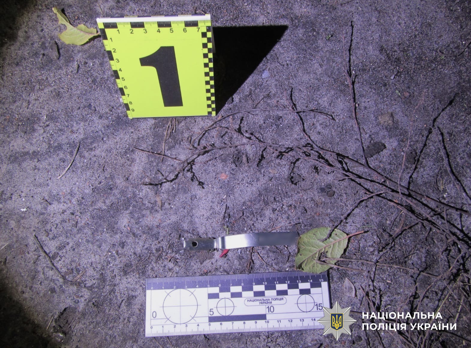 v30_36f42b21a9b889c42832387d37400572