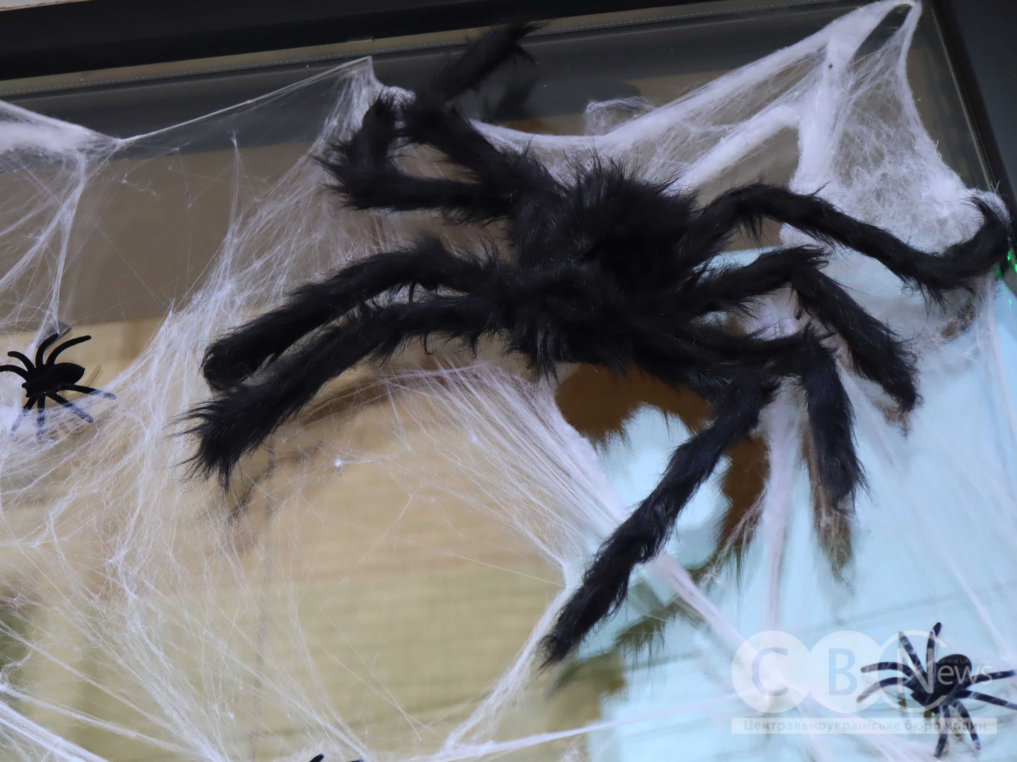 Як Кропивницький підготувався до Геловіну