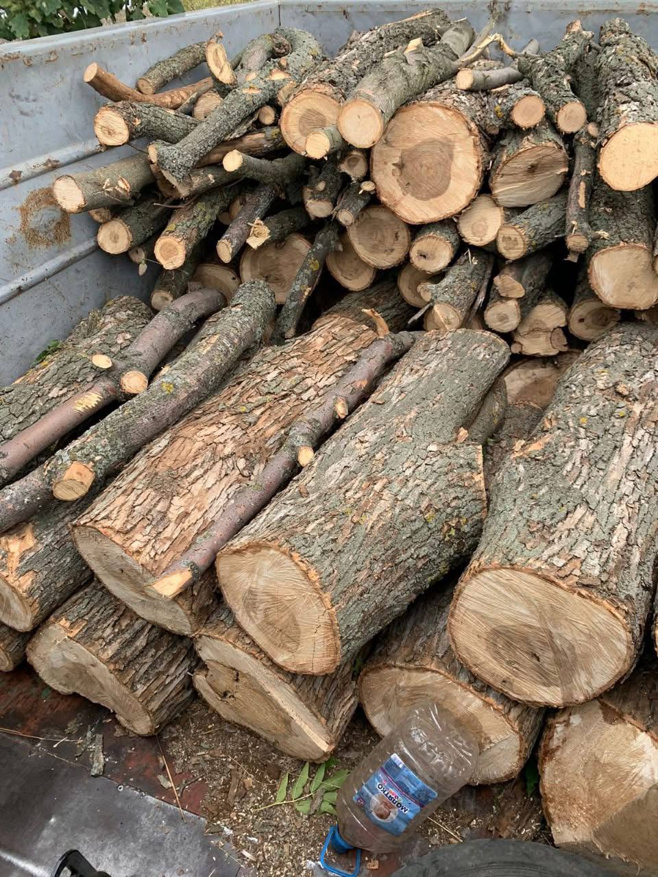 Браконьєру повідомили про підозру на Кіровоградщині