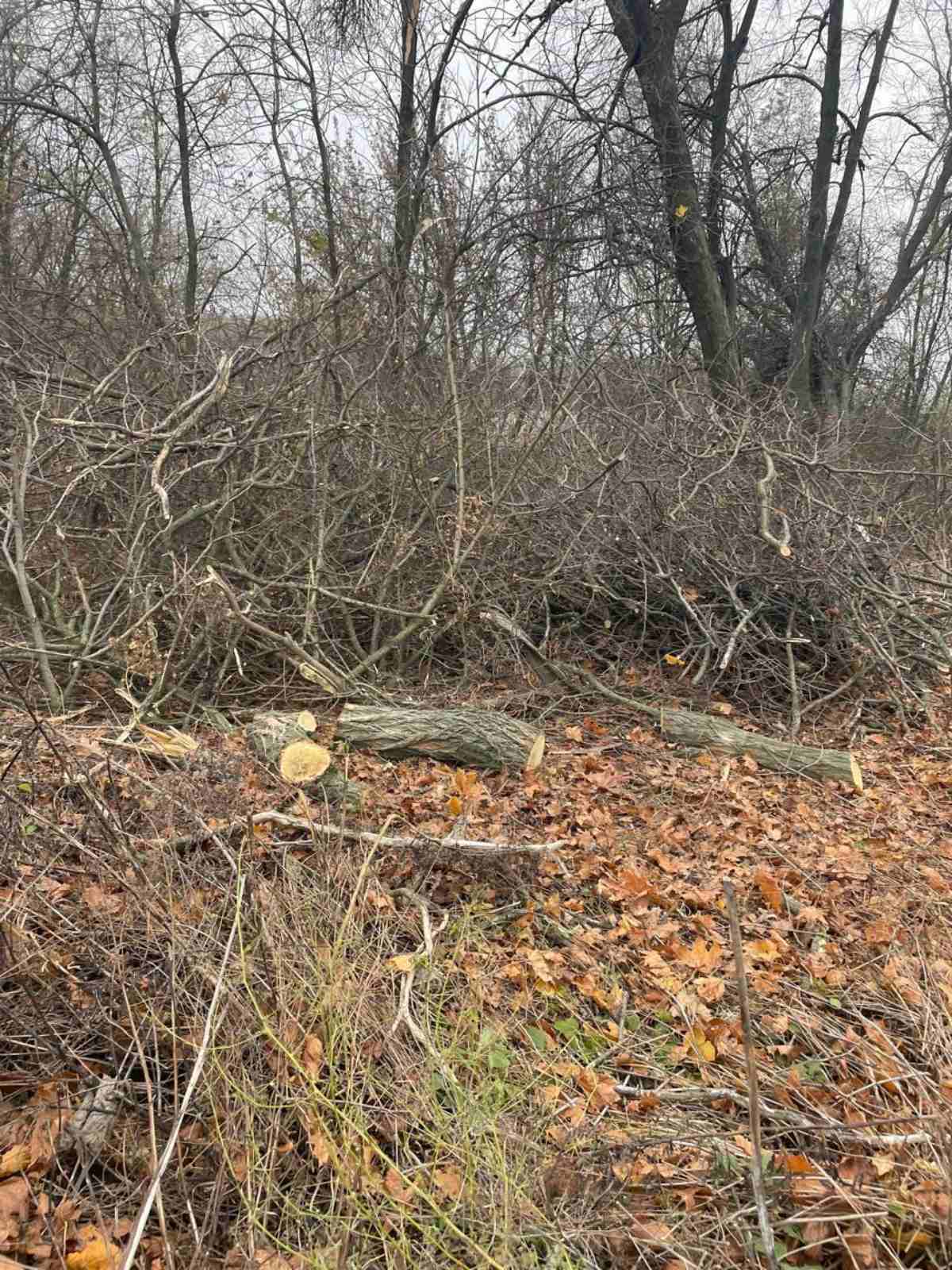 577023006_122166005816597860_4682451851120622266_n