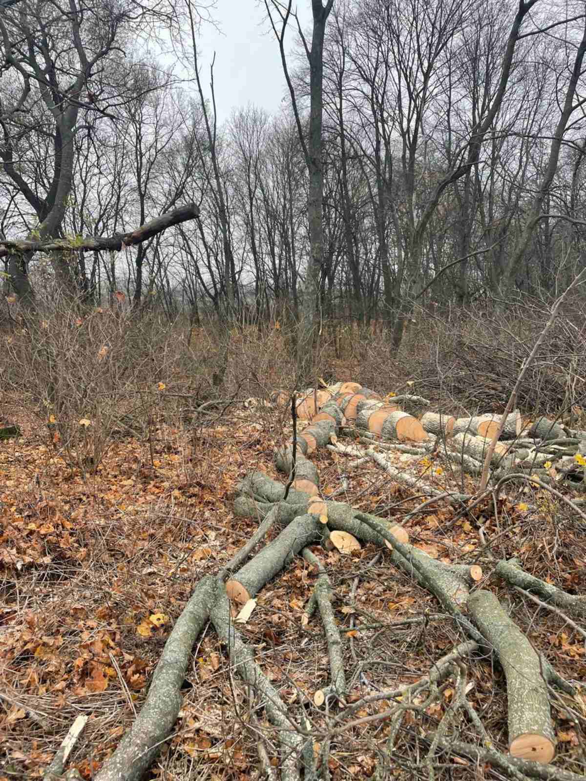 577842626_122166005678597860_6270148313442701233_n