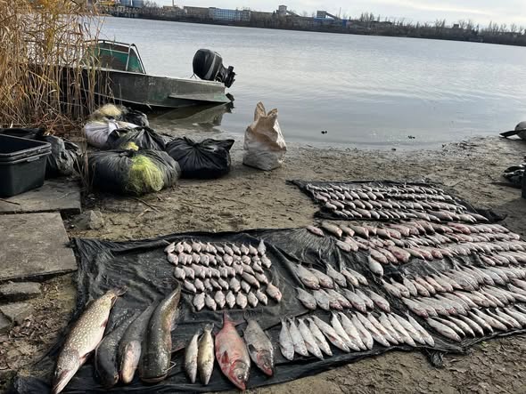 587153567_1161151742806167_4180390078982329021_n