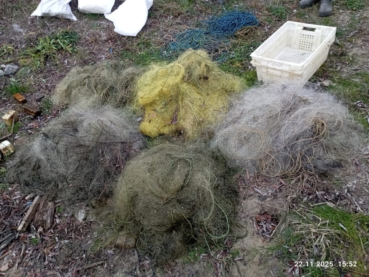 Браконьєри наловили риби в Олександрійському районі