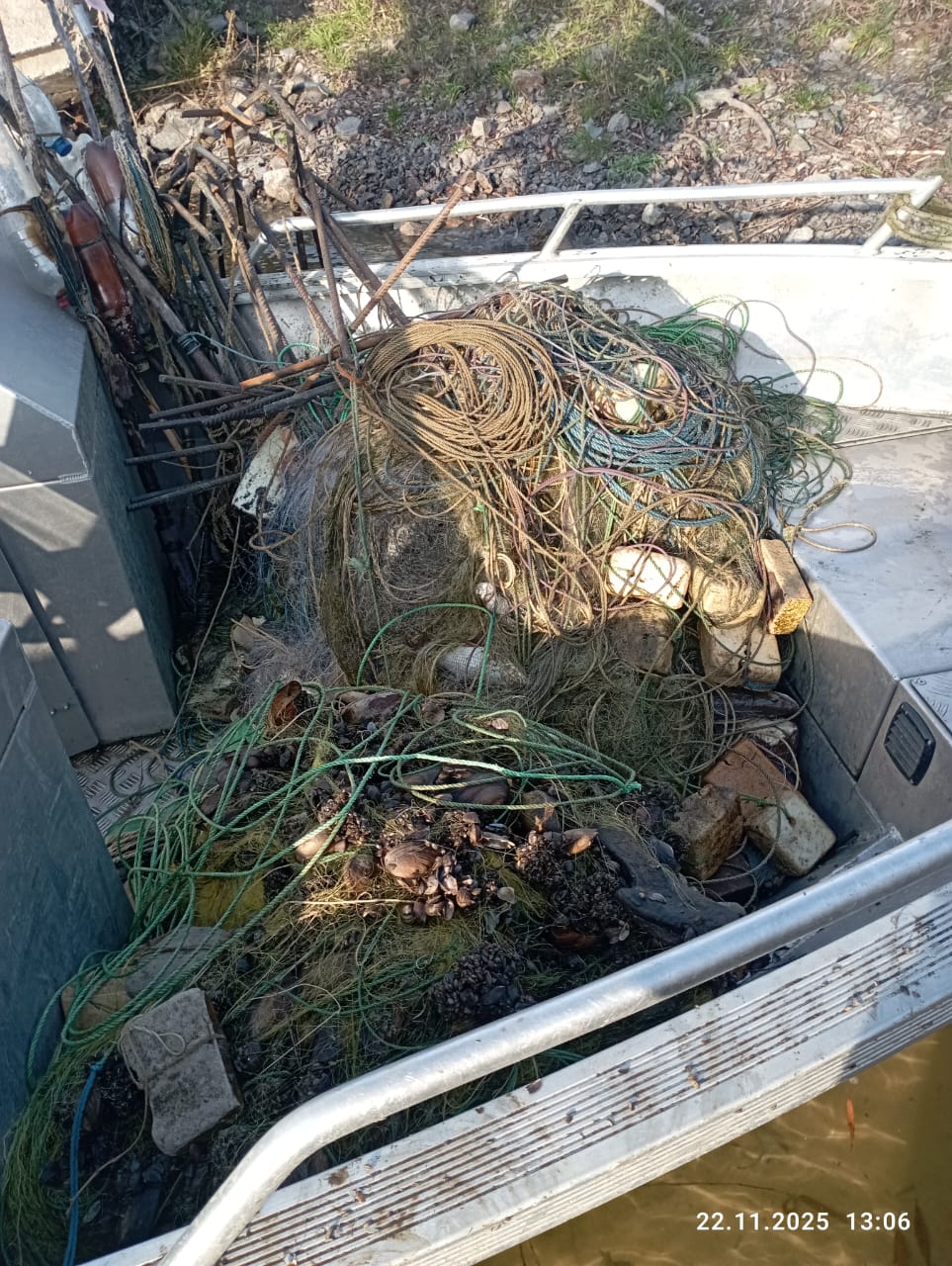 Браконьєри наловили риби в Олександрійському районі