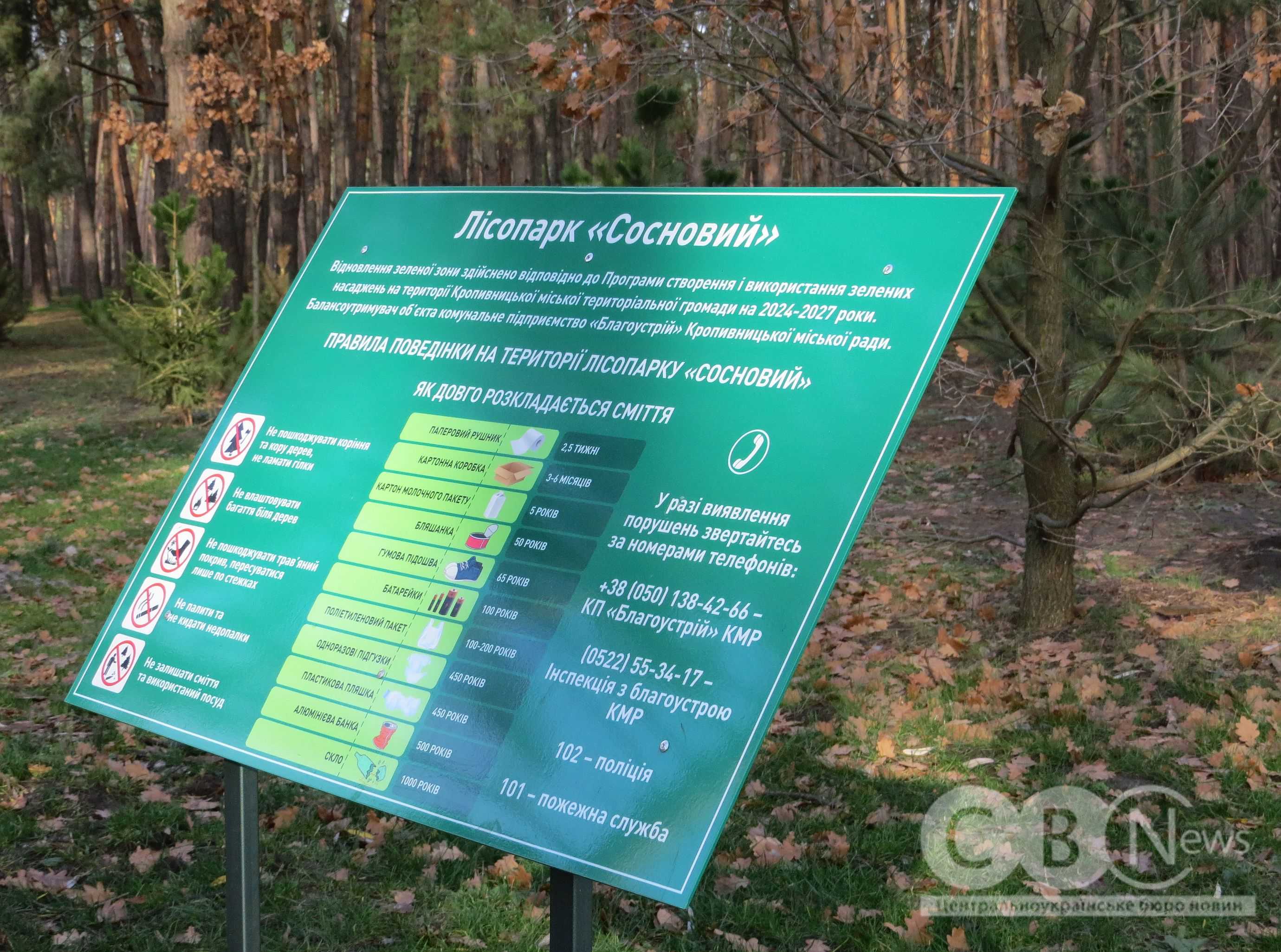 У Кропивницькому на Лісопарковій замінили 250 всохлих саджанців сосни