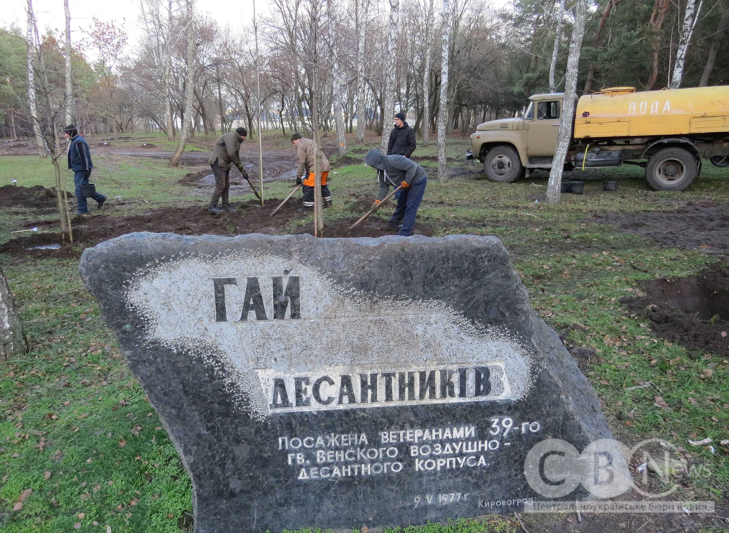 У Кропивницькому на Лісопарковій замінили 250 всохлих саджанців сосни