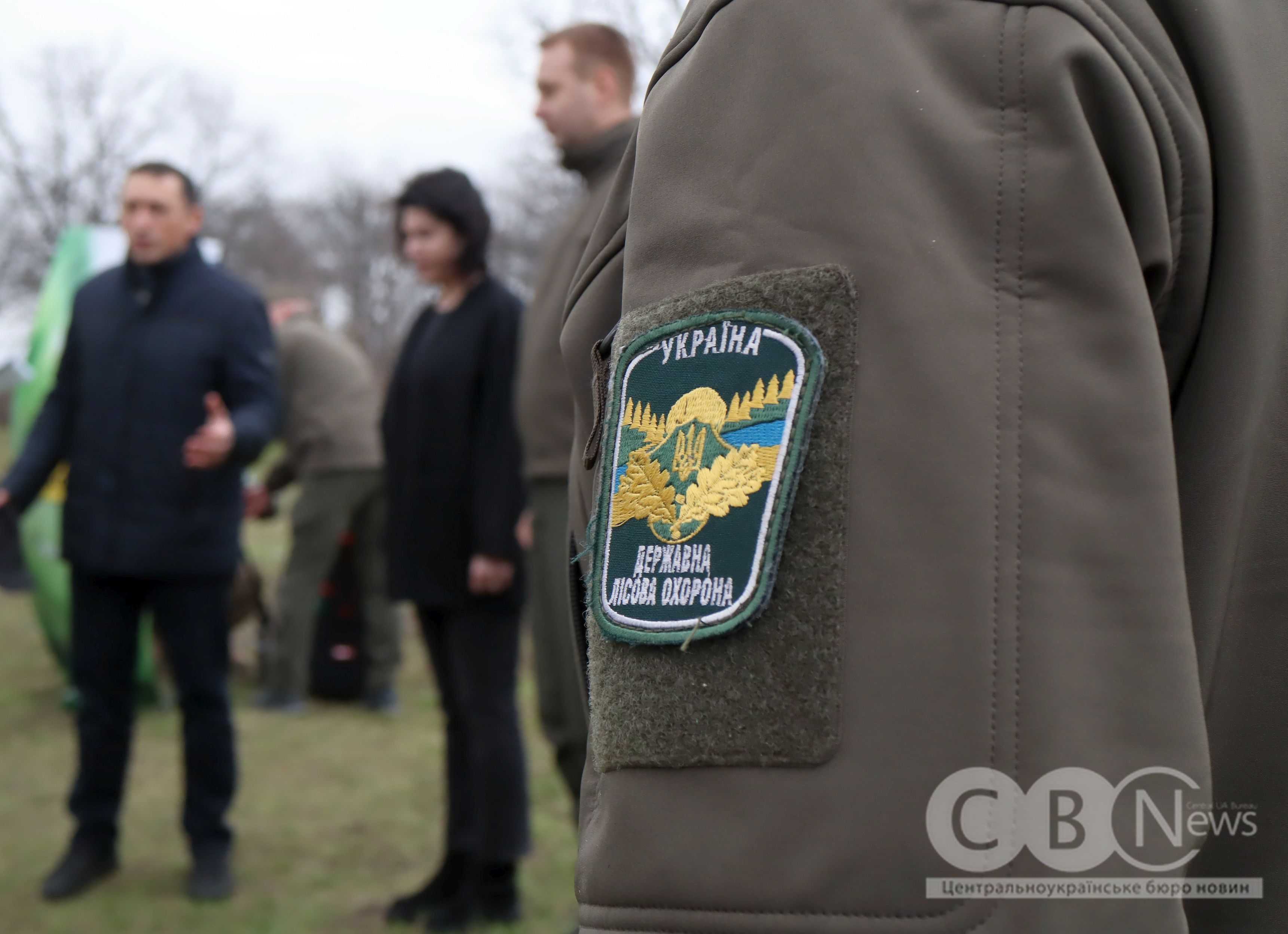 Мільярдне дерево висадили в парку Перемоги у Кропивницькому