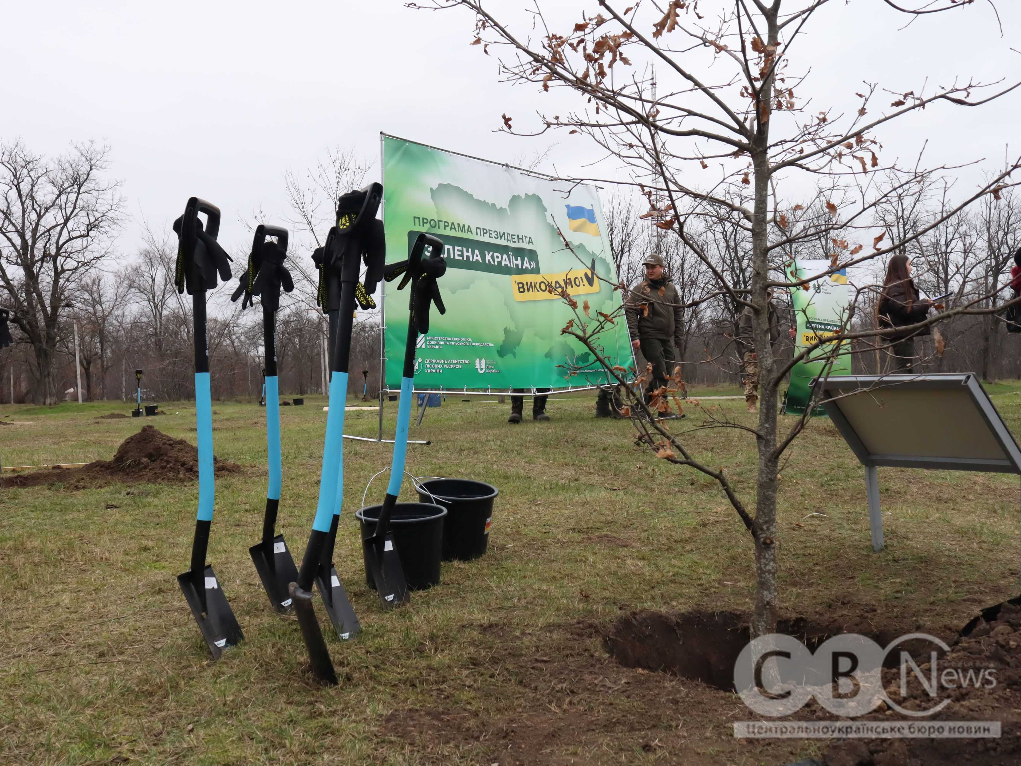 Мільярдне дерево висадили в парку Перемоги у Кропивницькому