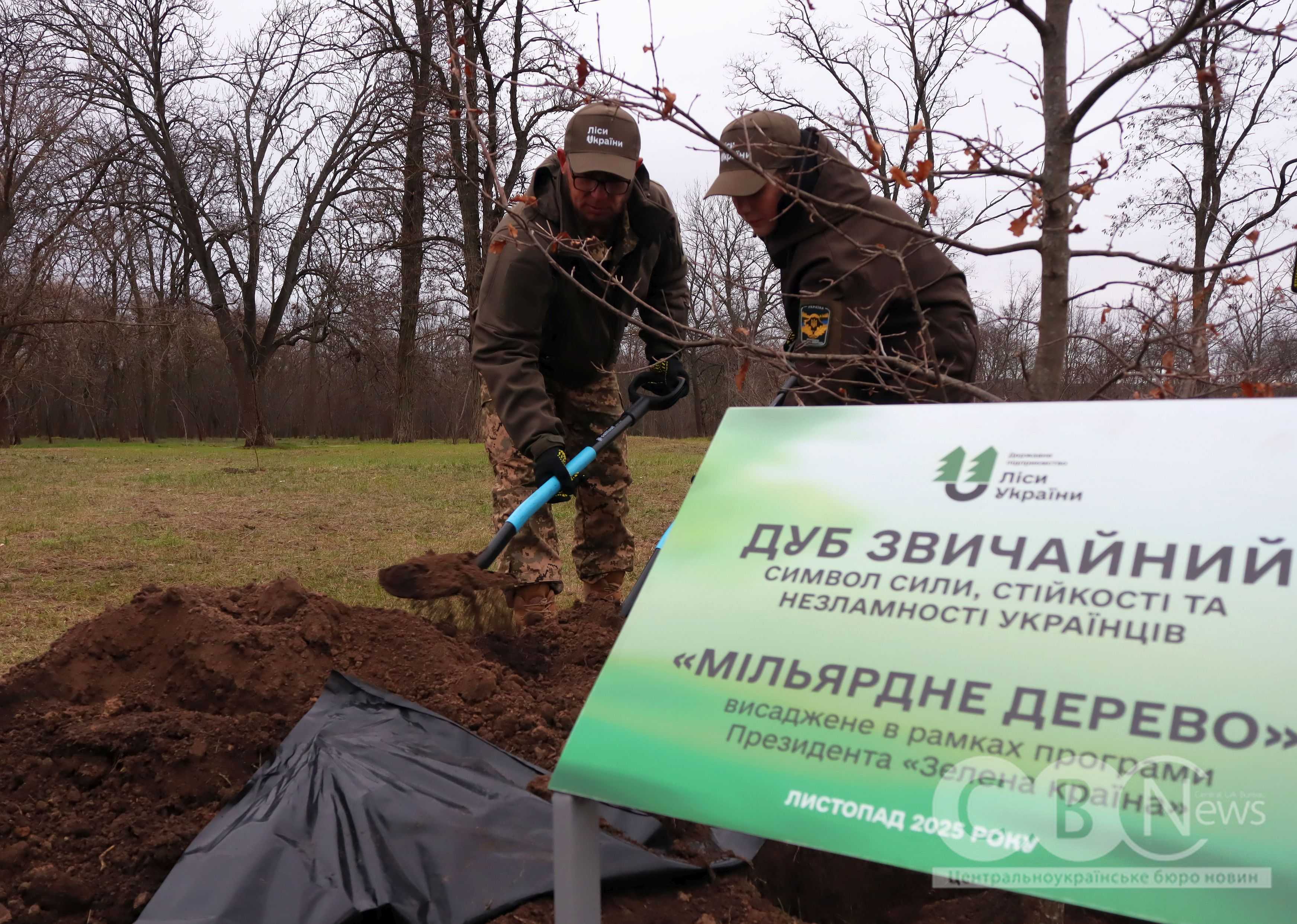 Мільярдне дерево висадили в парку Перемоги у Кропивницькому