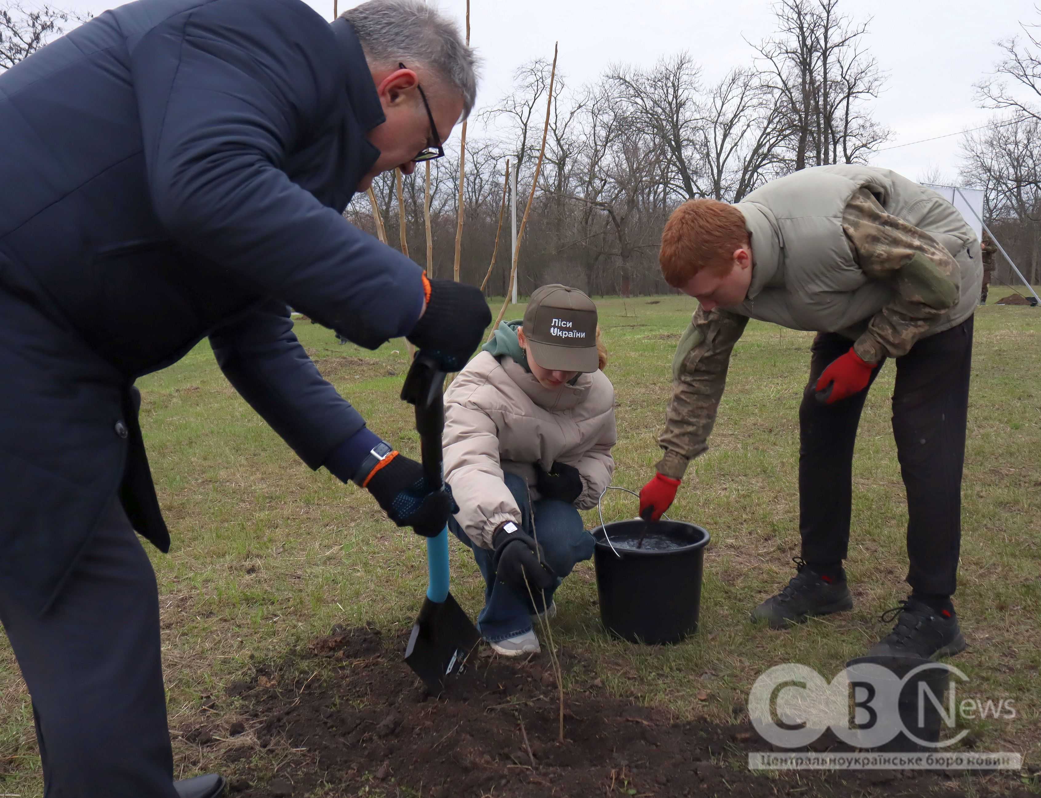Мільярдне дерево висадили в парку Перемоги у Кропивницькому