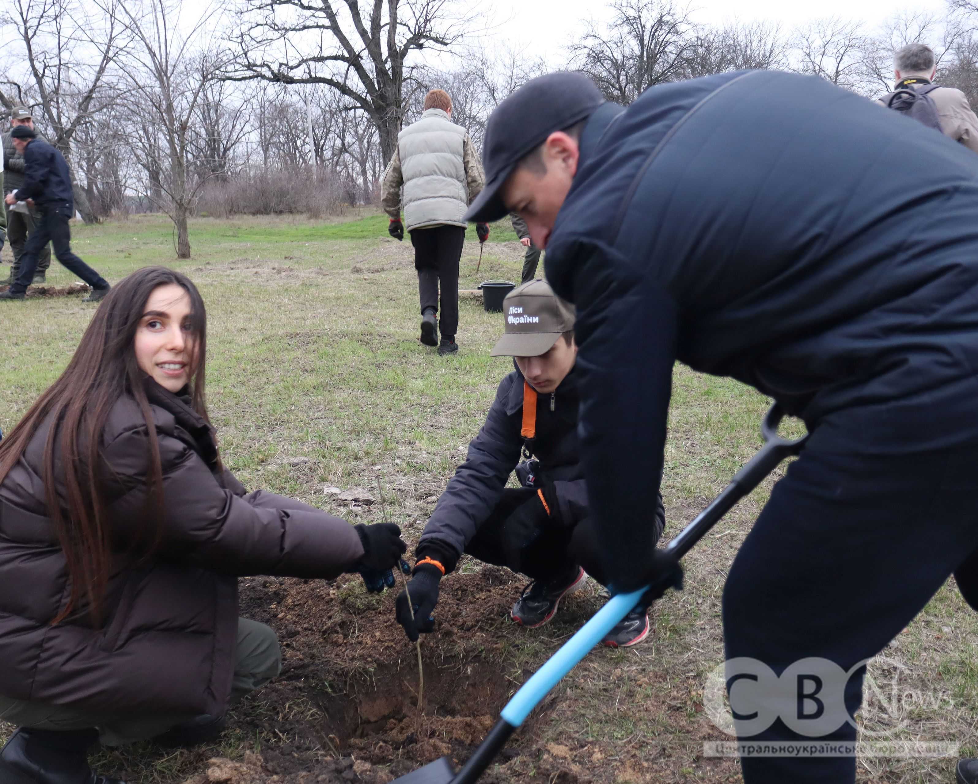 Мільярдне дерево висадили в парку Перемоги у Кропивницькому