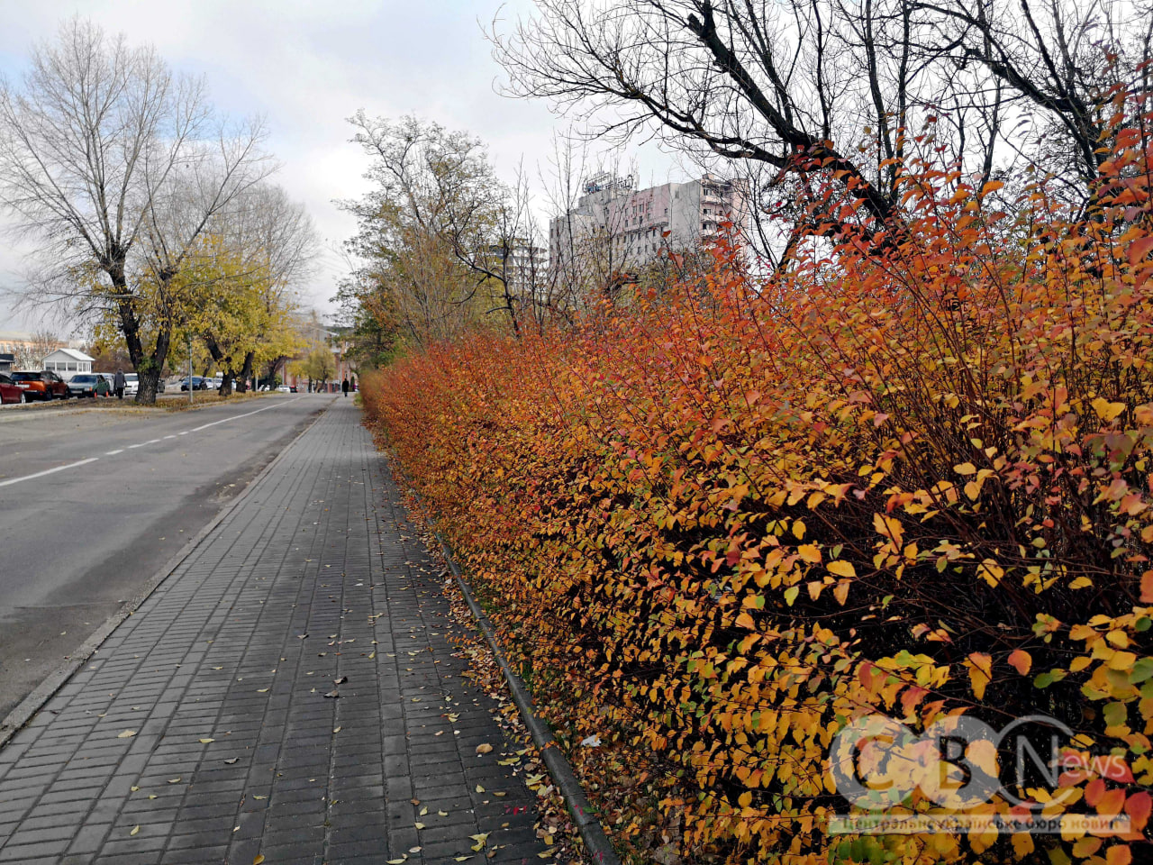 Фортечні вали у Кропивницькому вкрилися осіннім листям