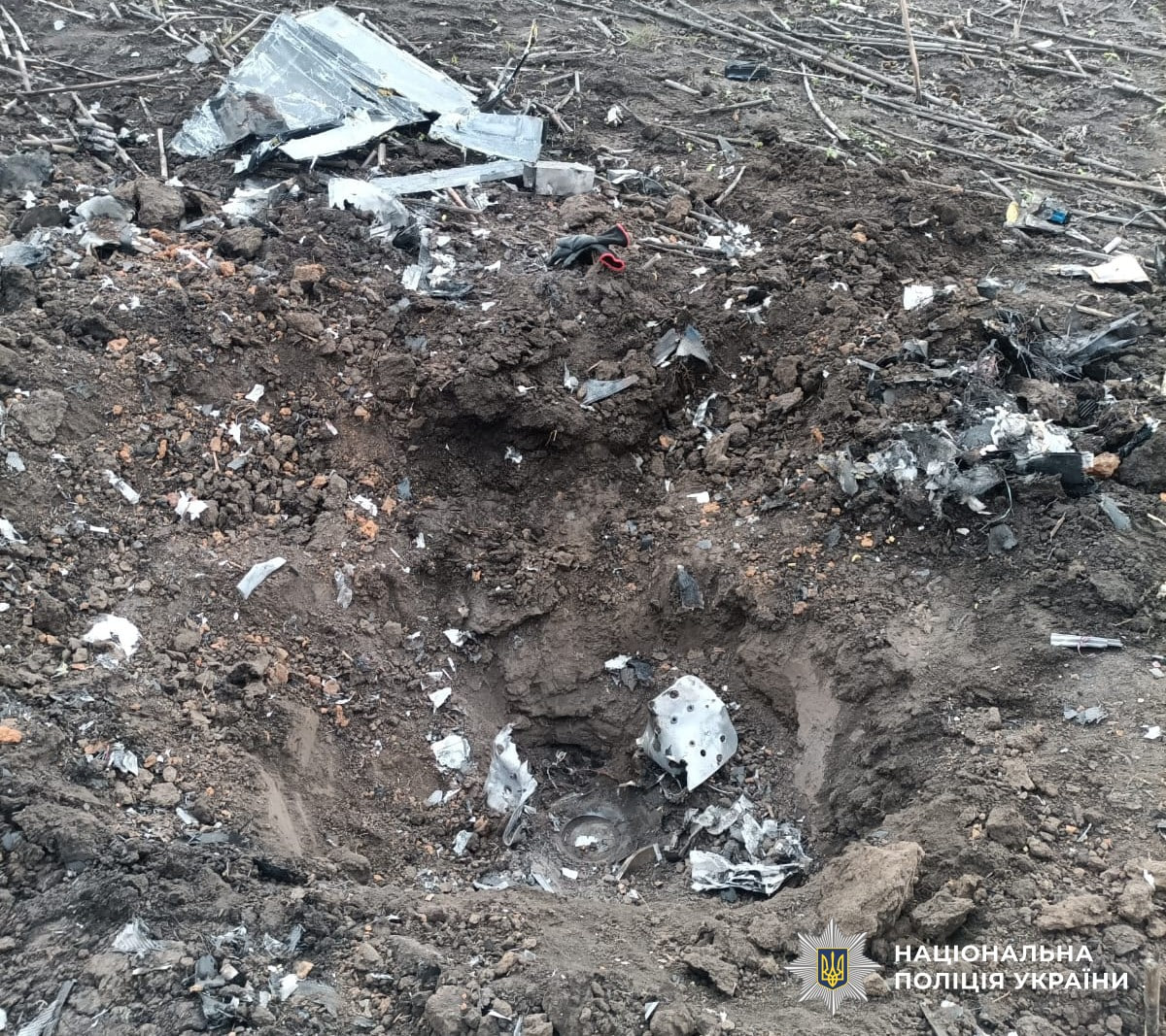 Бойові частини двох російських безпілотників знешкодили на Кіровоградщині