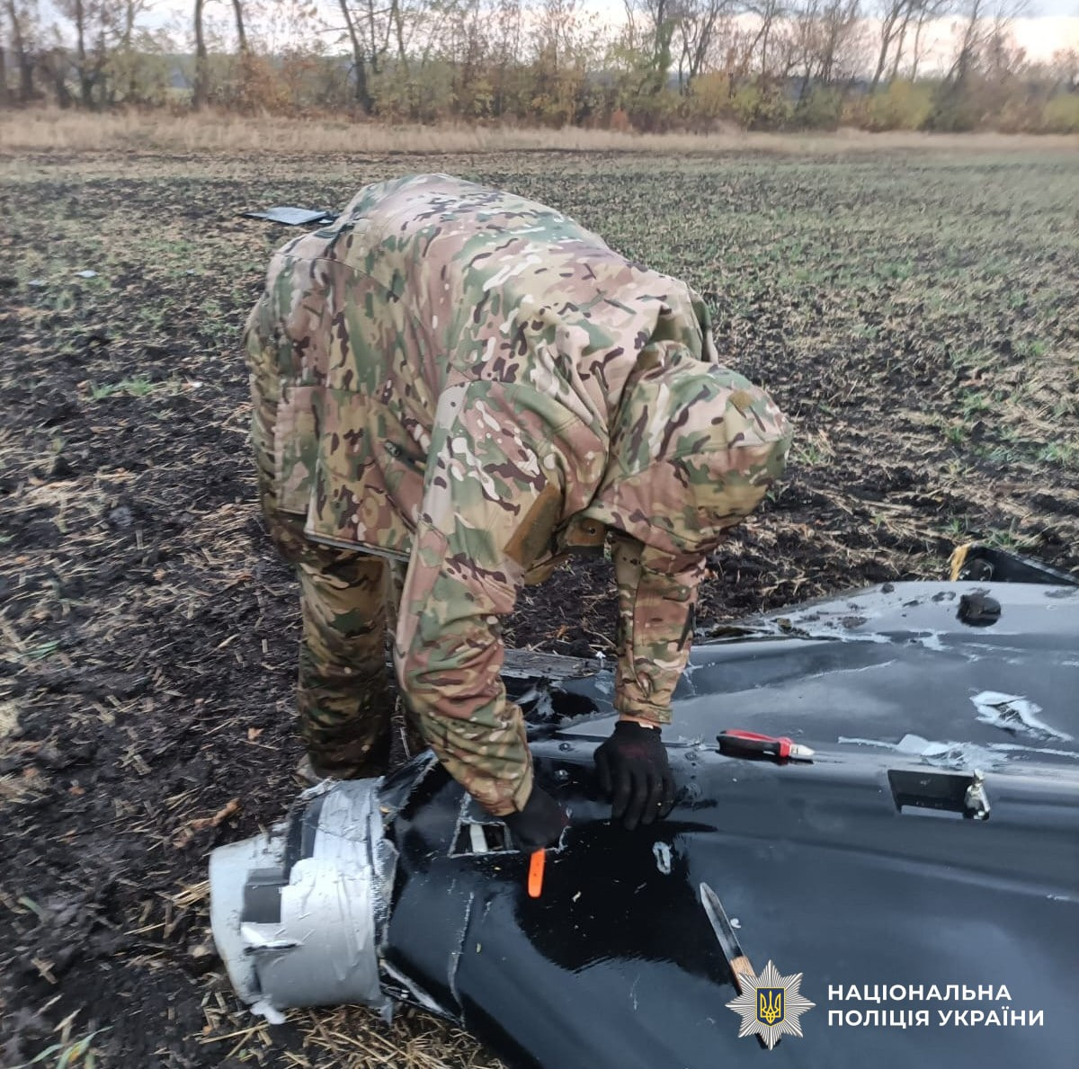 Бойові частини двох російських безпілотників знешкодили на Кіровоградщині