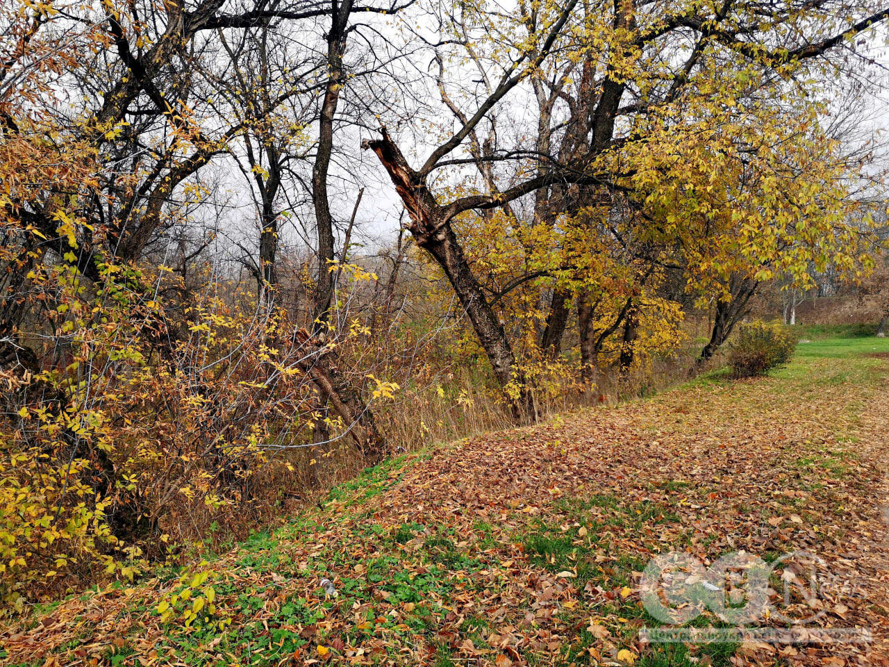 Фортечні вали у Кропивницькому вкрилися осіннім листям