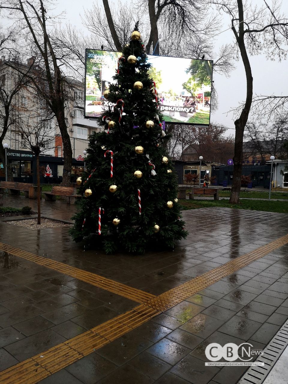 Зимові свята та ялинки Кіровоградщини - 2025