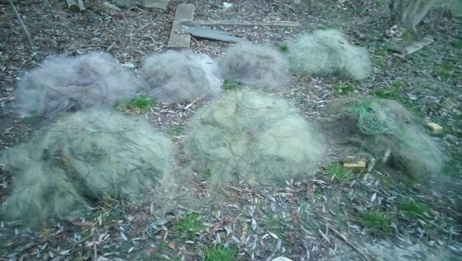 Риби на понад 3 млн грн виловили браконьєри в Олександрійському районі