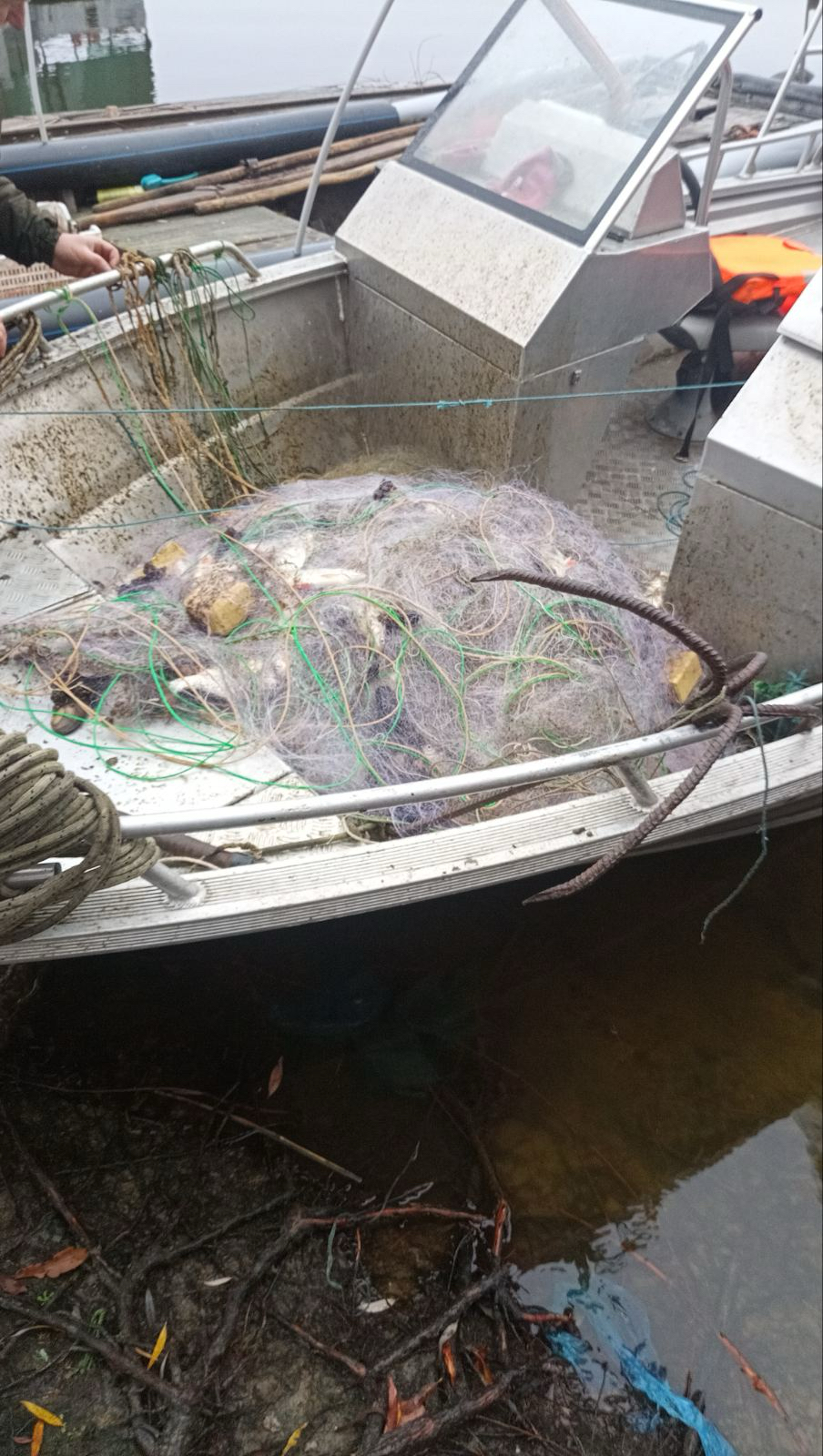 Риби на понад 3 млн грн виловили браконьєри в Олександрійському районі