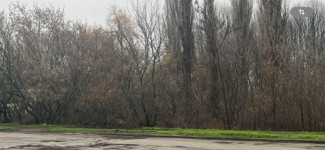 Кропивницька міськрада здає в оренду землю біля заправки на Гірничому