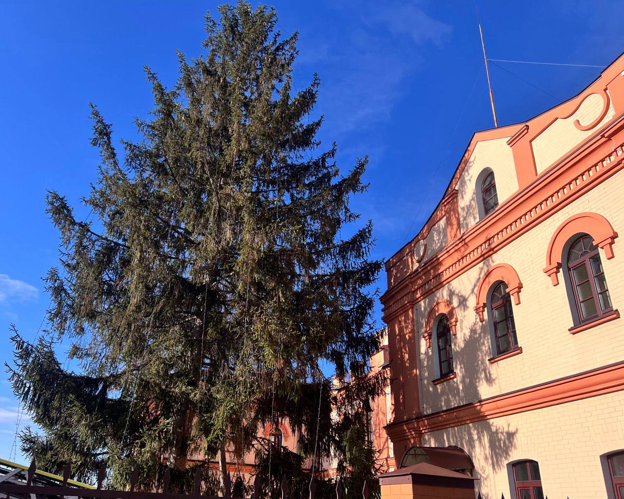 Новорічна ялинка в Олександрійській громаді