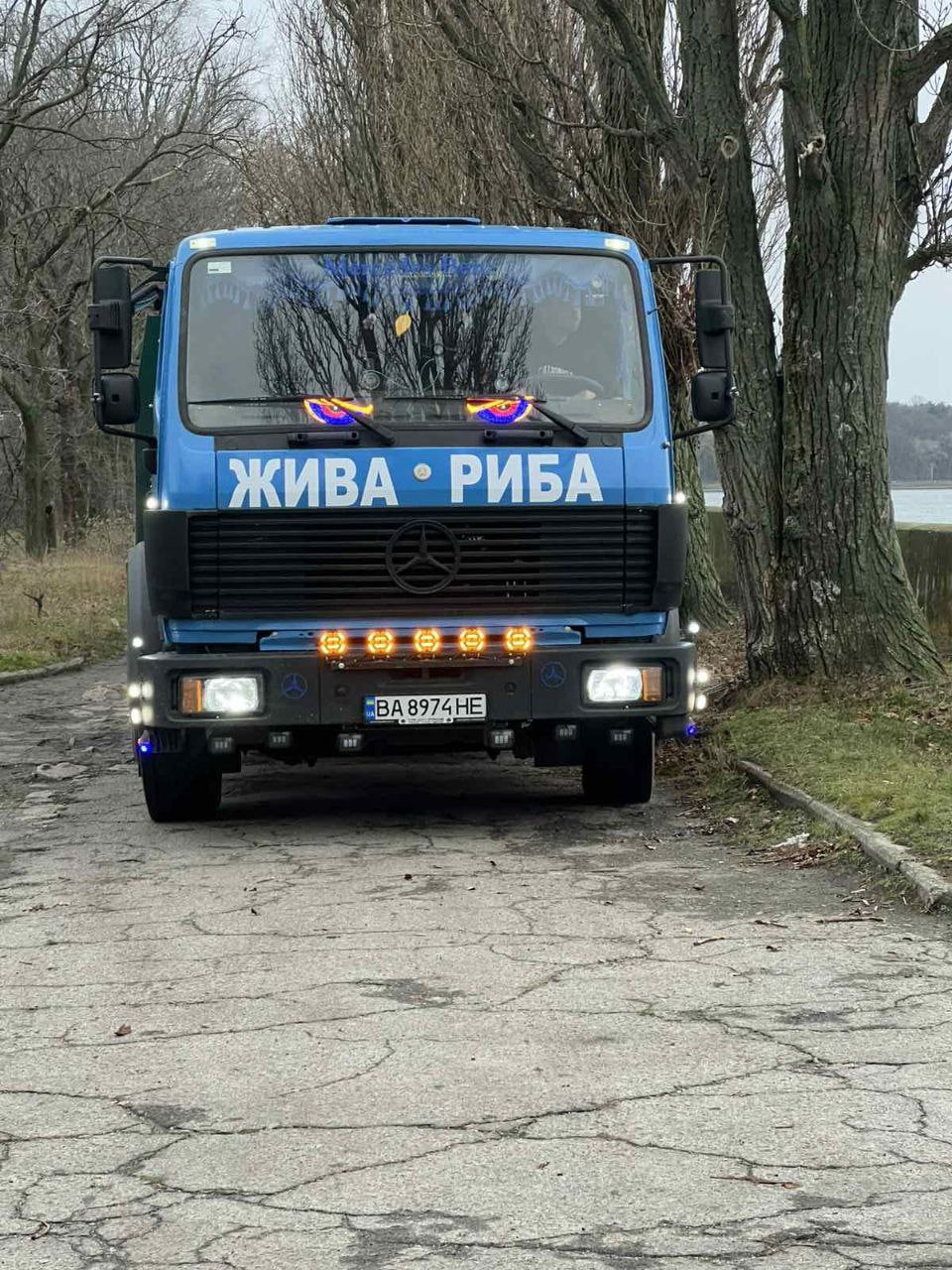 Понад 1,5 тонни товстолоба випустили до водосховища у Світловодську