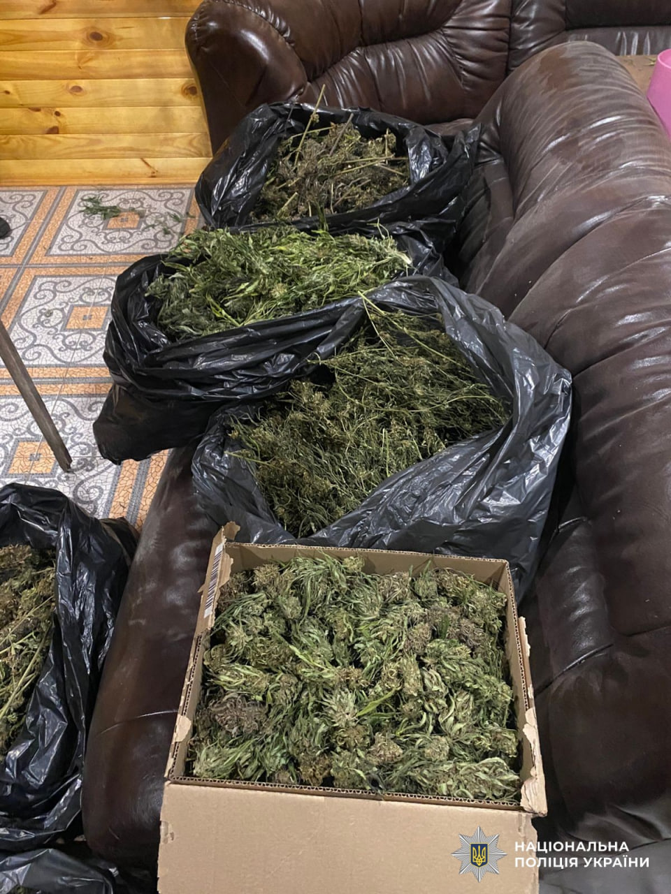 7 кілограмів канабісу вилучили в жителя Олександрійщини