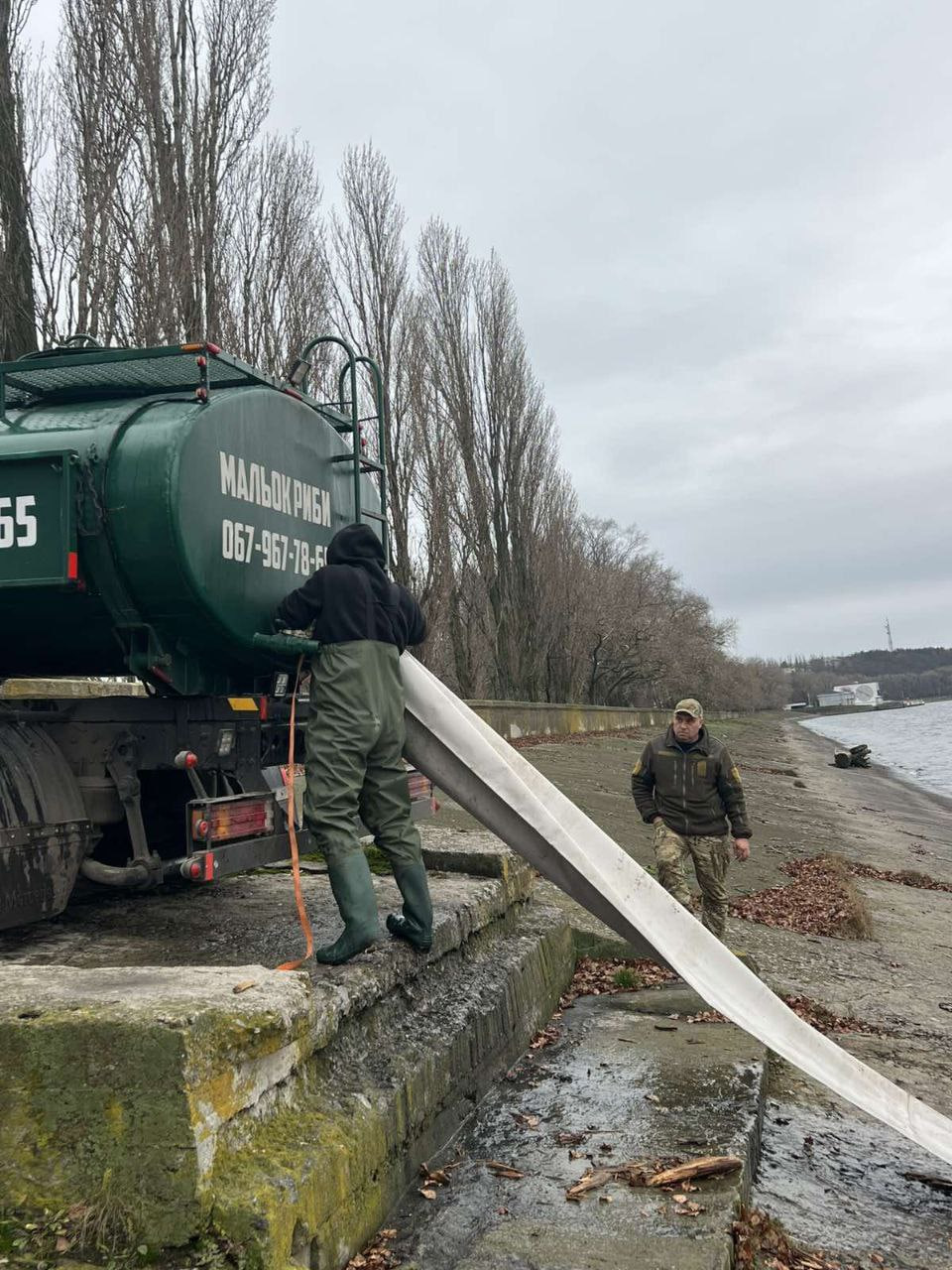 Понад 1,5 тонни товстолоба випустили до водосховища у Світловодську