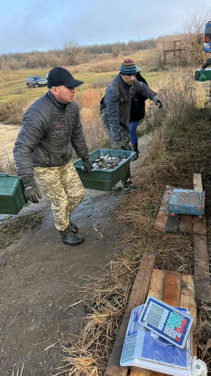 Понад 1,5 тонни товстолоба випустили до водосховища у Світловодську