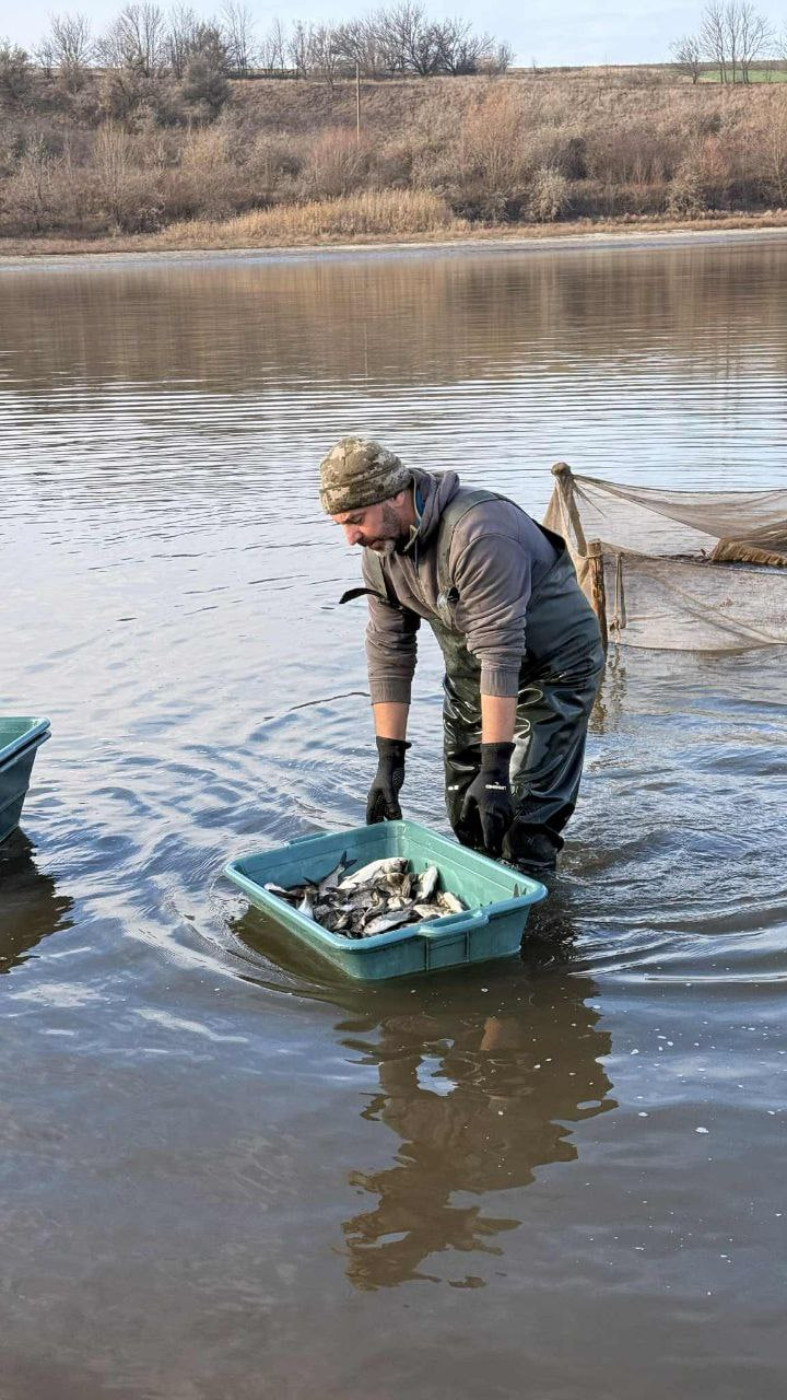 Понад 1,5 тонни товстолоба випустили до водосховища у Світловодську
