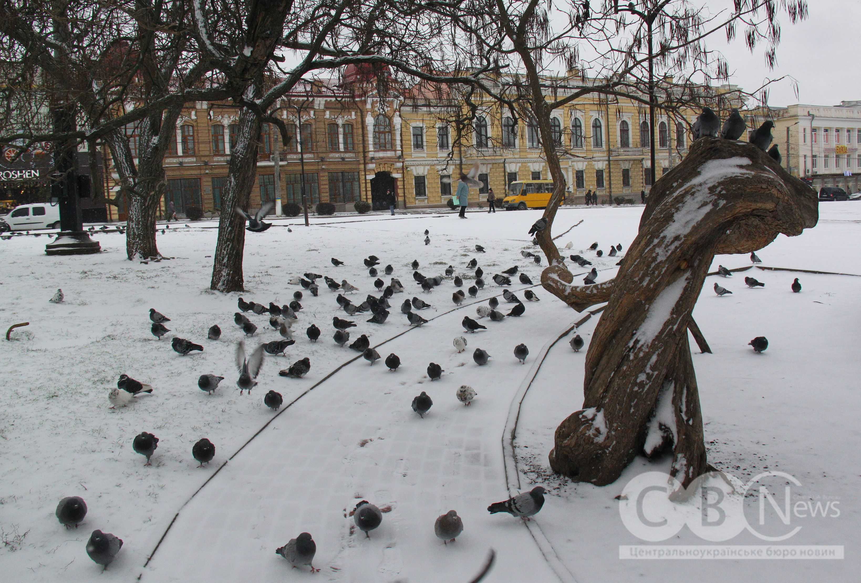 Справжня зима у Кропивницькому: місто засніжило