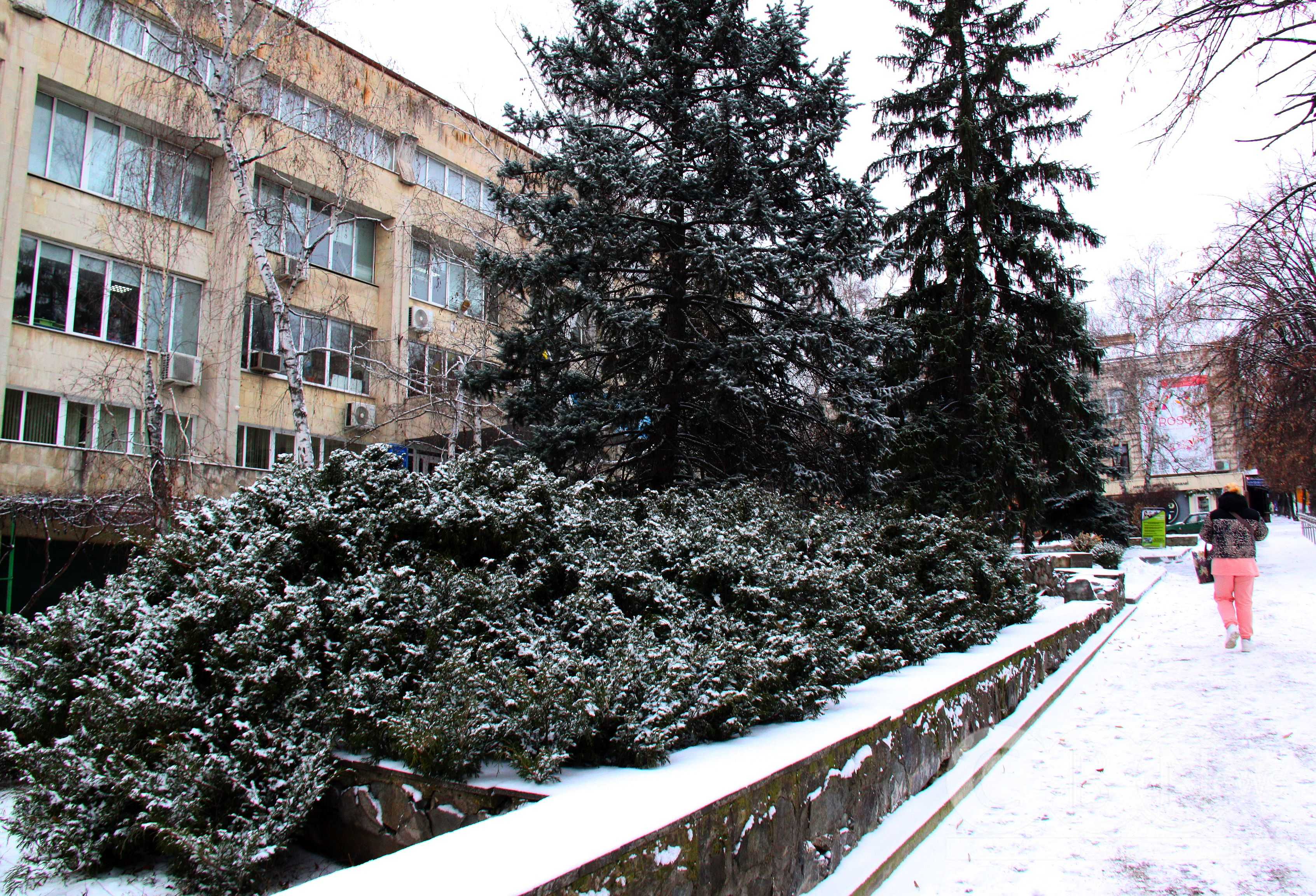 Справжня зима у Кропивницькому: місто засніжило