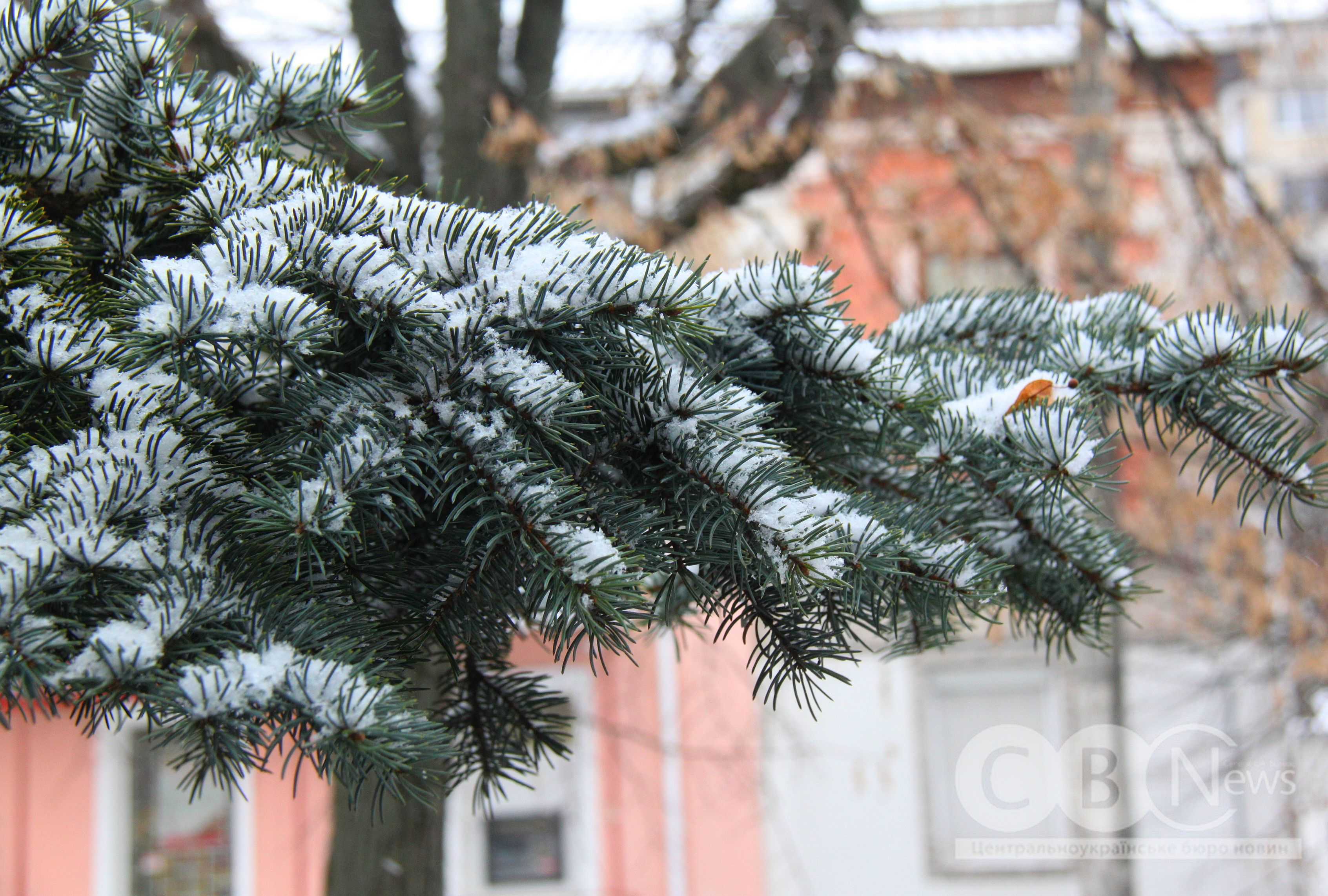 Справжня зима у Кропивницькому: місто засніжило