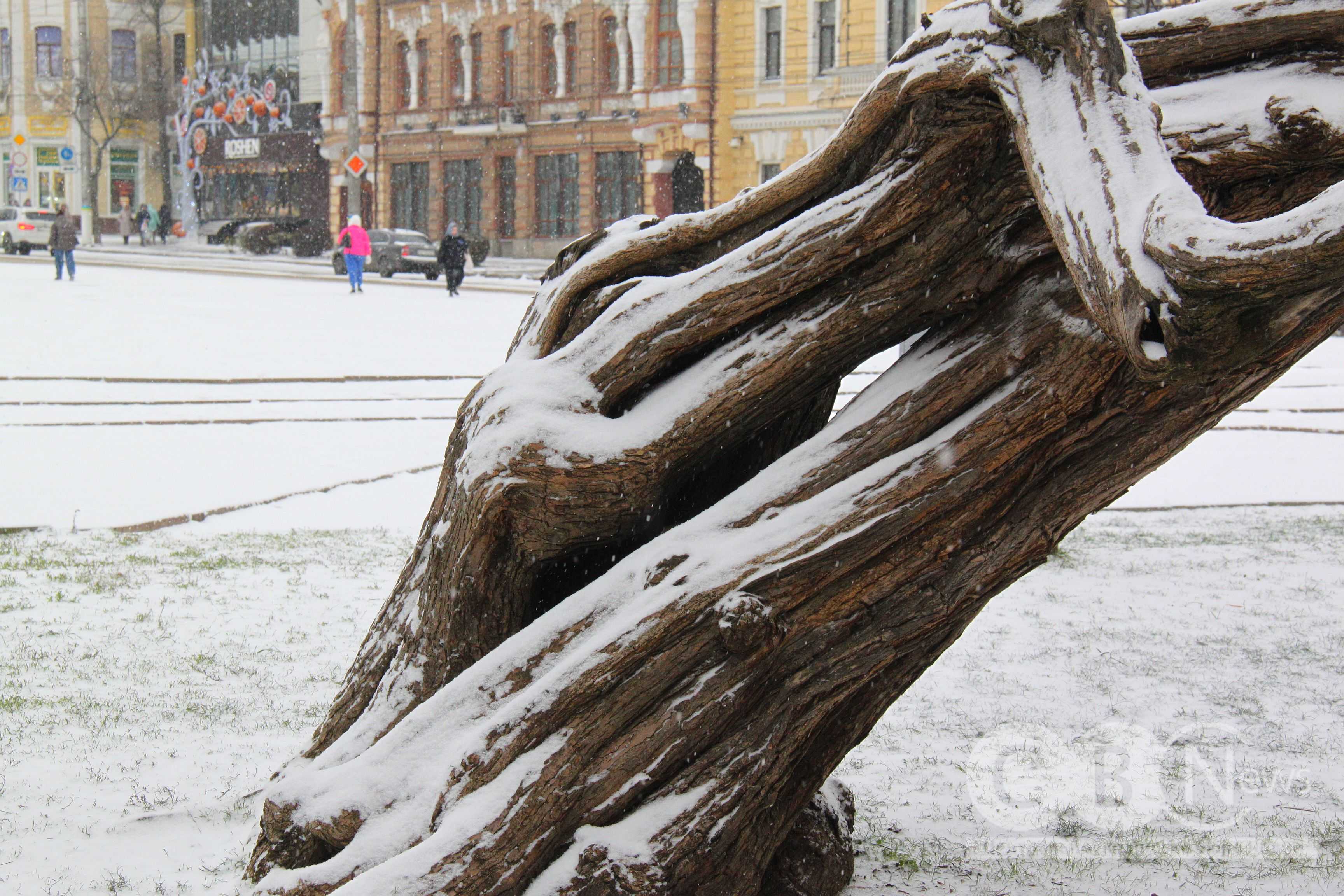 Справжня зима у Кропивницькому: місто засніжило