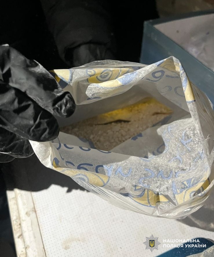 Кропивничанку підозрюють у продажі наркотиків через інтернет-магазин