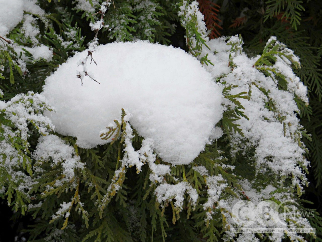 Коли місто ще спить: зимовий ранок у Кропивницькому 