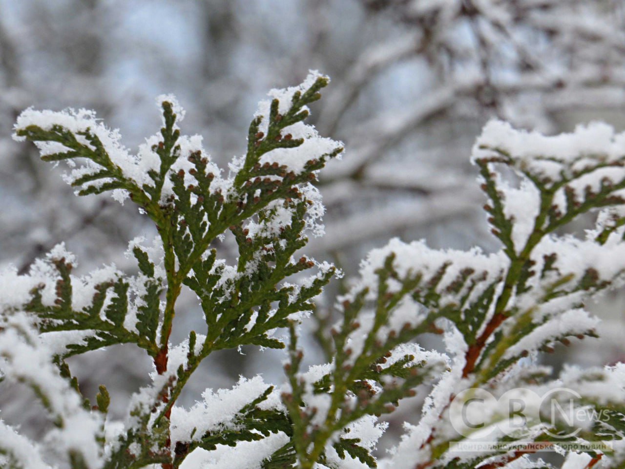 Коли місто ще спить: зимовий ранок у Кропивницькому 
