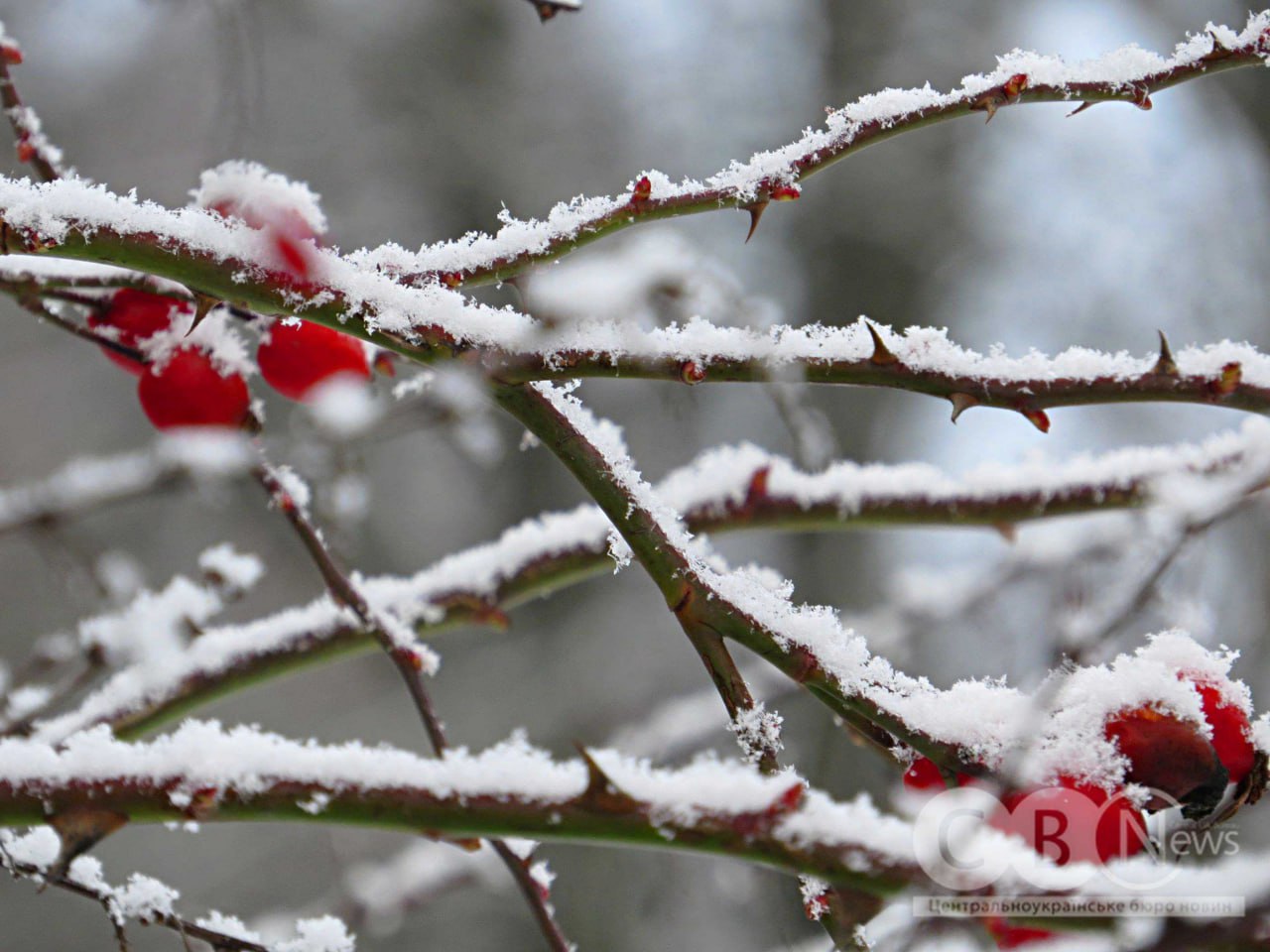 Коли місто ще спить: зимовий ранок у Кропивницькому 