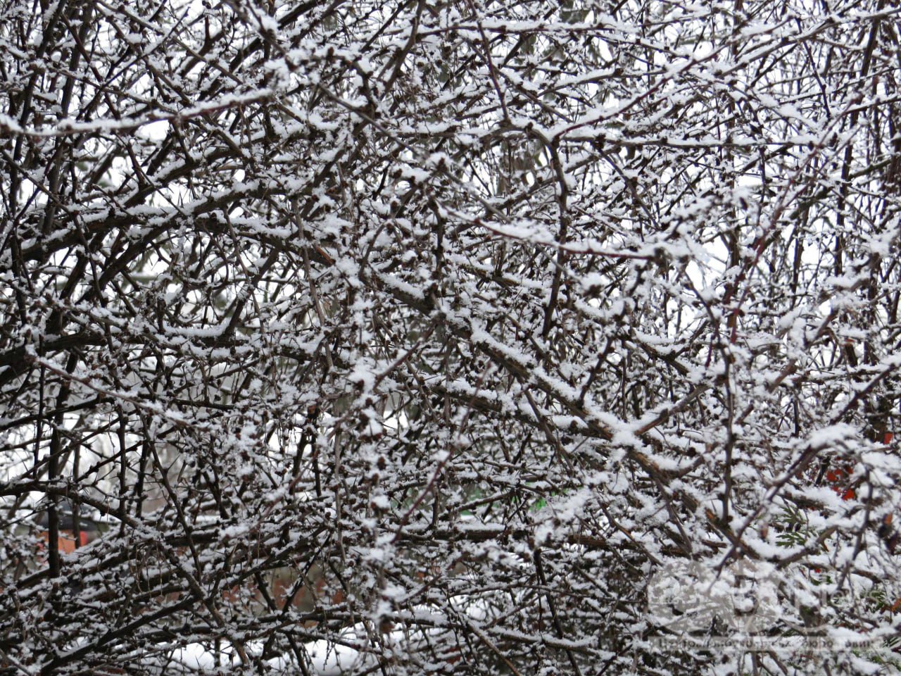Коли місто ще спить: зимовий ранок у Кропивницькому 