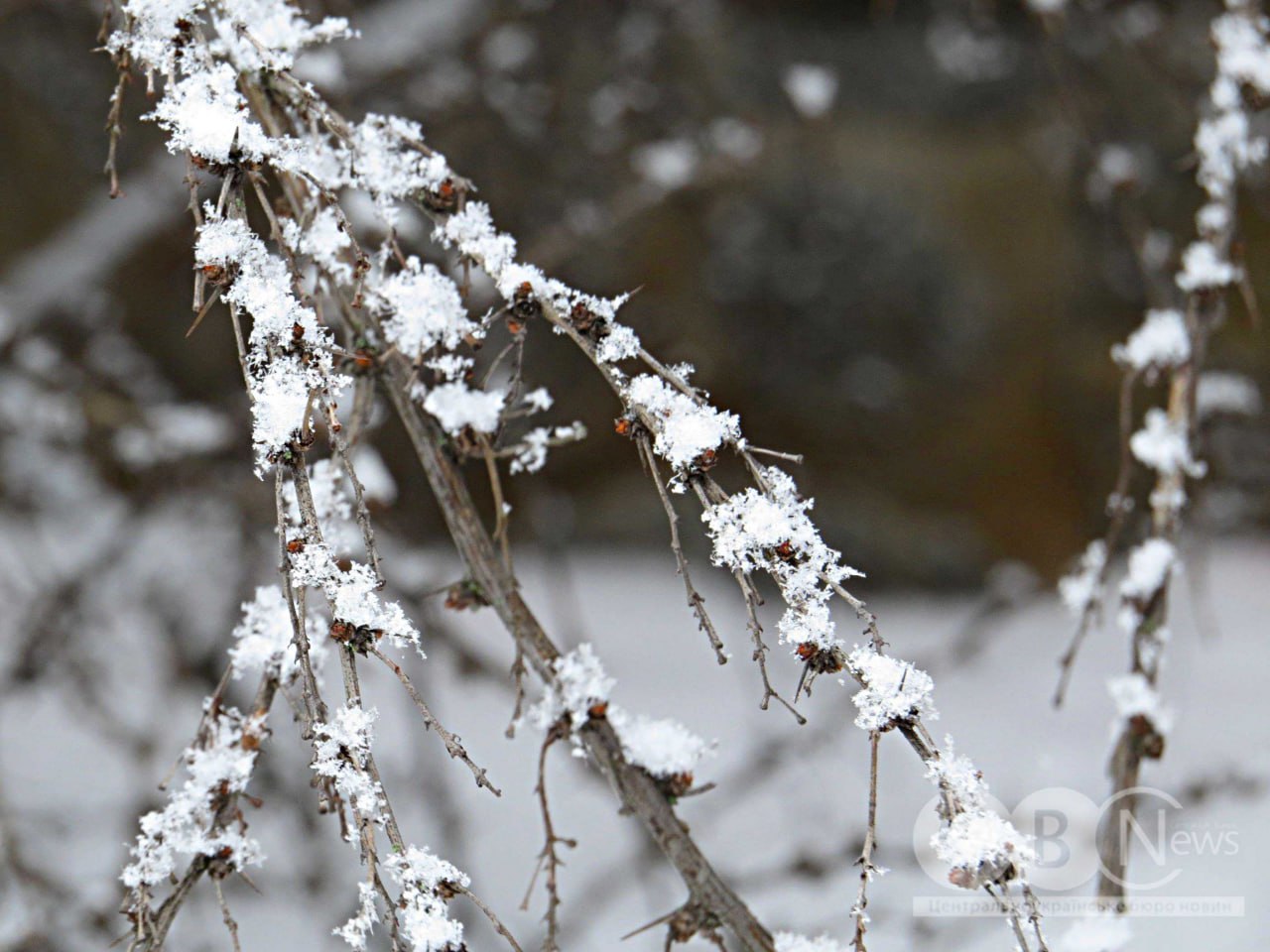 Коли місто ще спить: зимовий ранок у Кропивницькому 