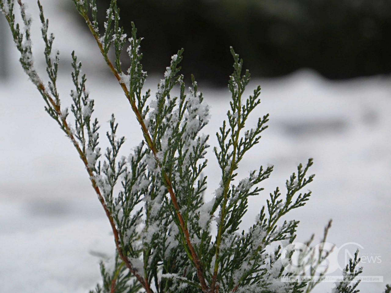 Коли місто ще спить: зимовий ранок у Кропивницькому 