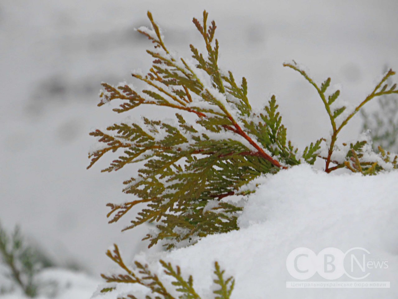 Коли місто ще спить: зимовий ранок у Кропивницькому 