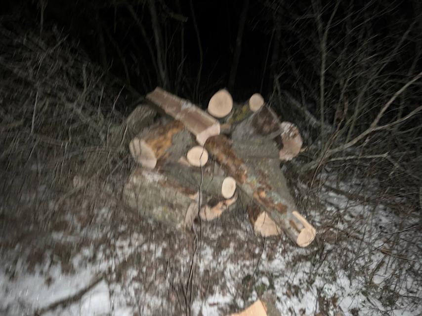 На майже пів мільйона гривень вирубали дерева в Кропивницькому районі