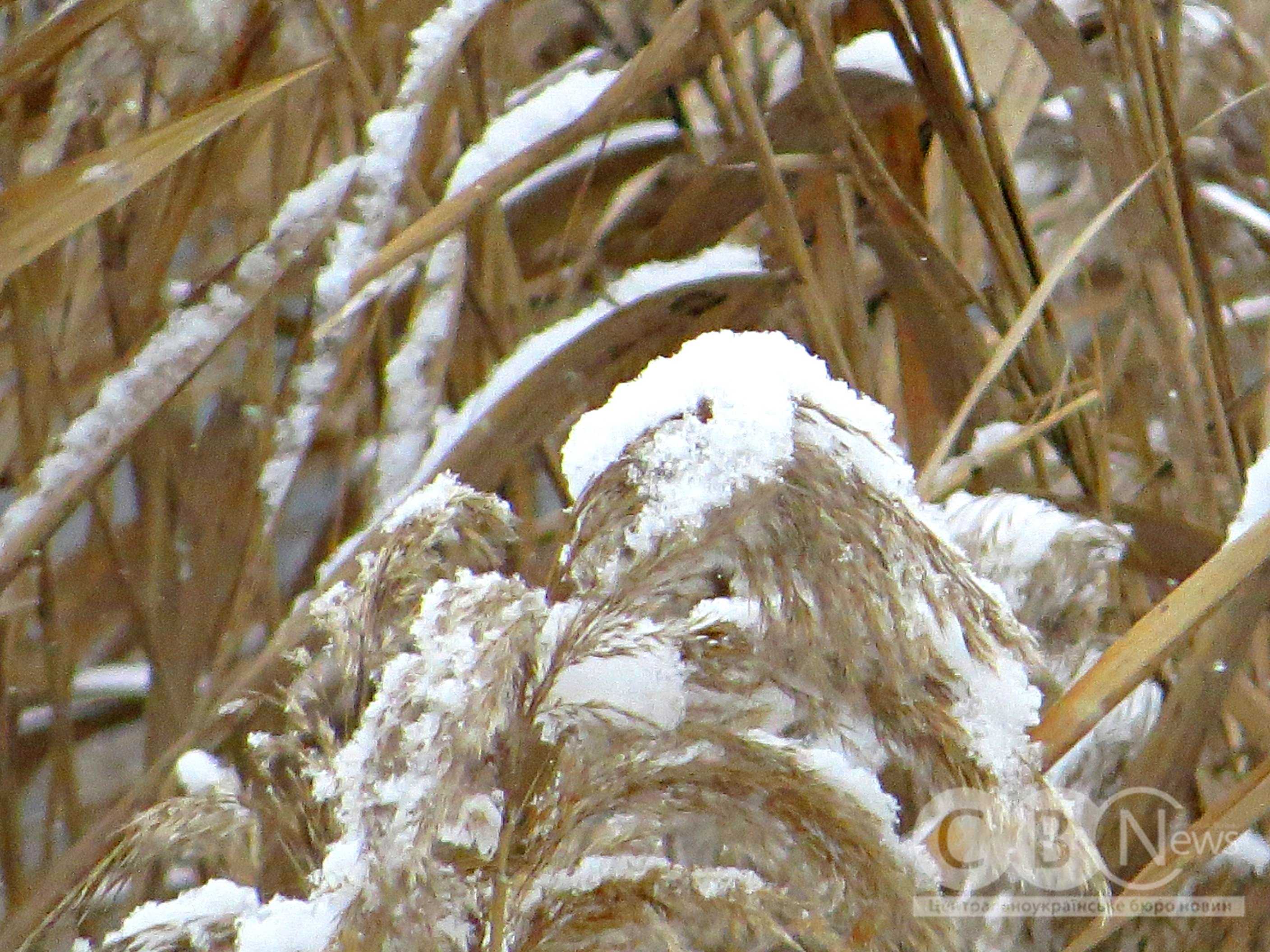 IMG_20260114_163339_069