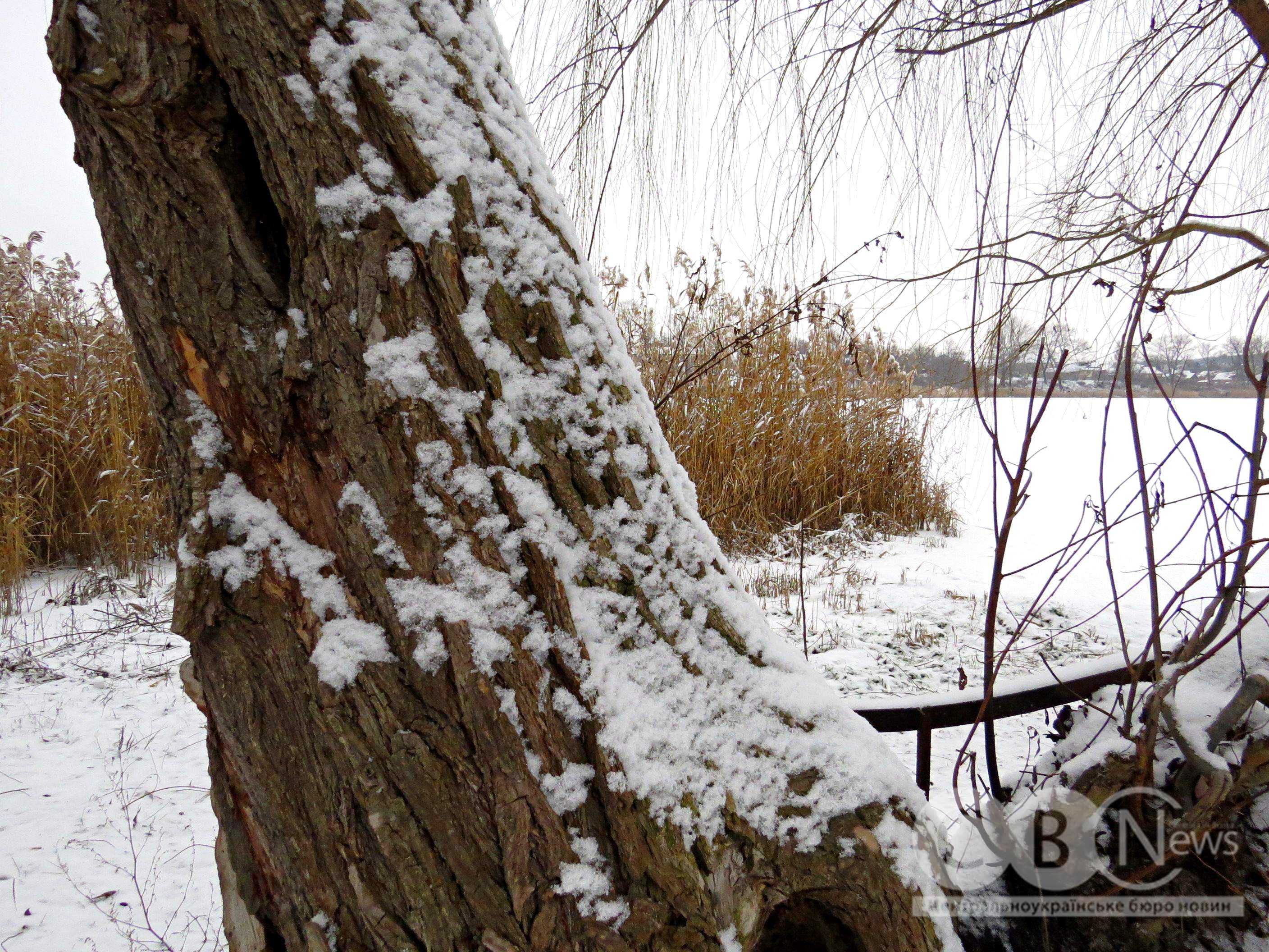 IMG_20260114_163339_113