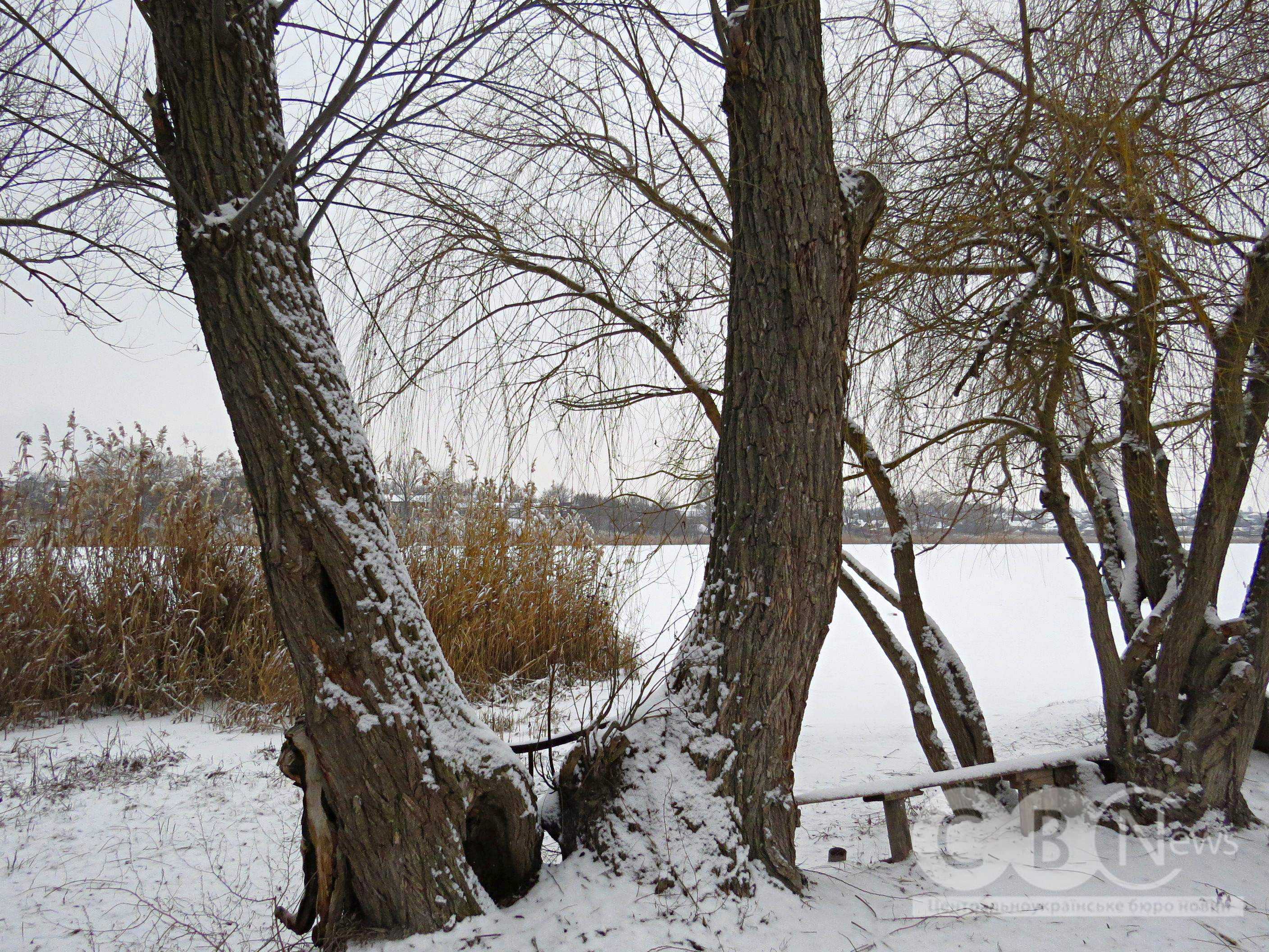 IMG_20260114_163339_202