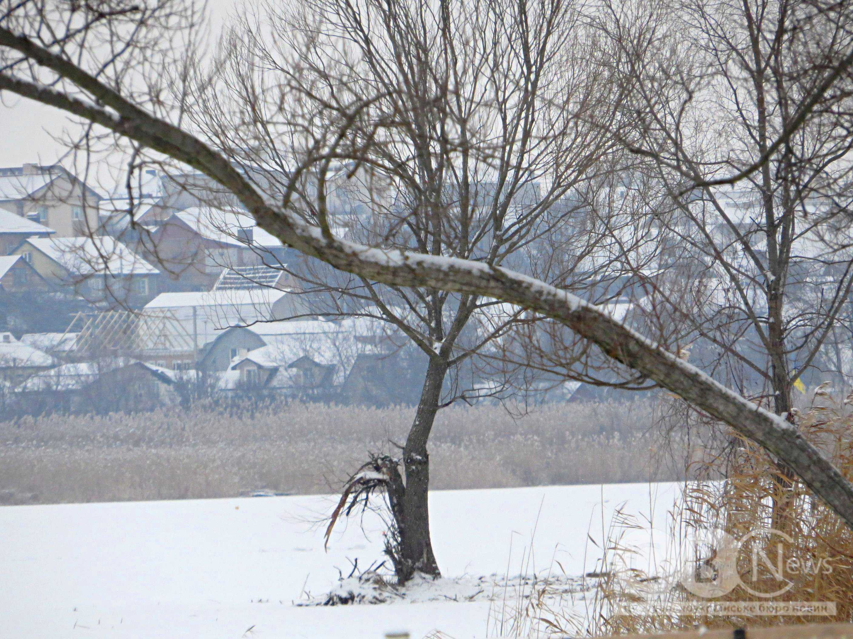 IMG_20260114_163339_363