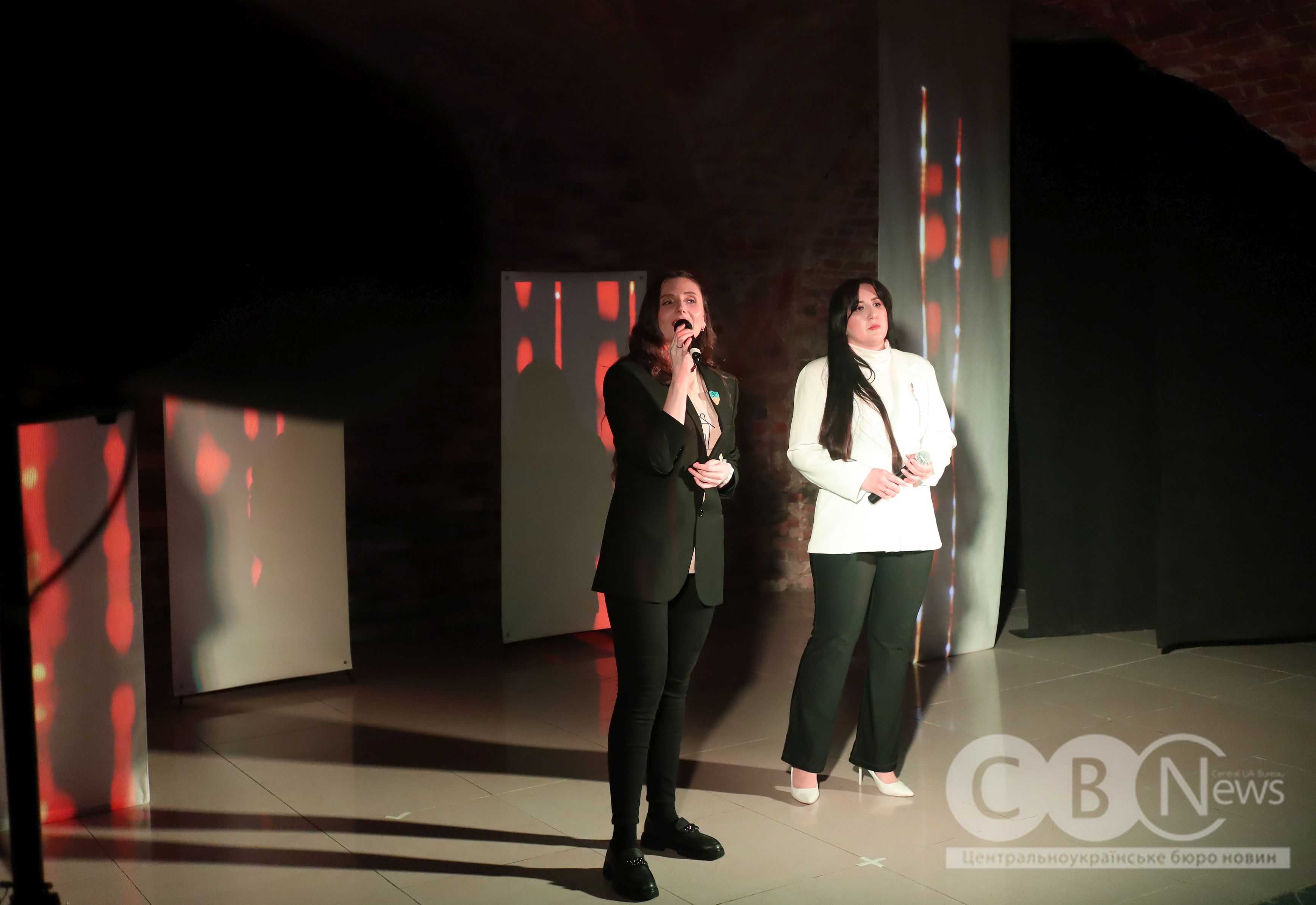 Програму &laquo;Вільні разом&raquo; до Дня Соборності України показали в Кропивницькому