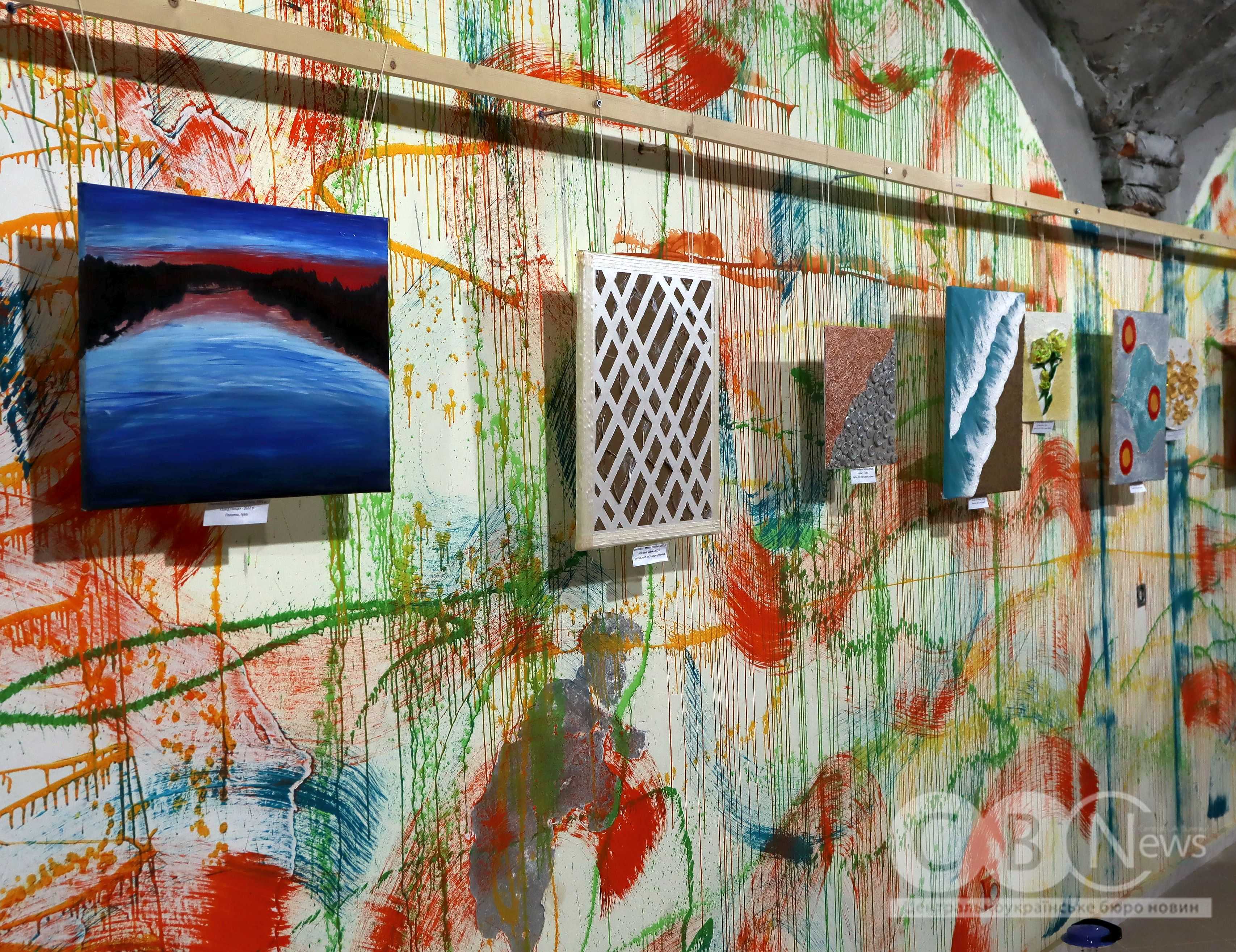 Програму &laquo;Вільні разом&raquo; до Дня Соборності України показали в Кропивницькому