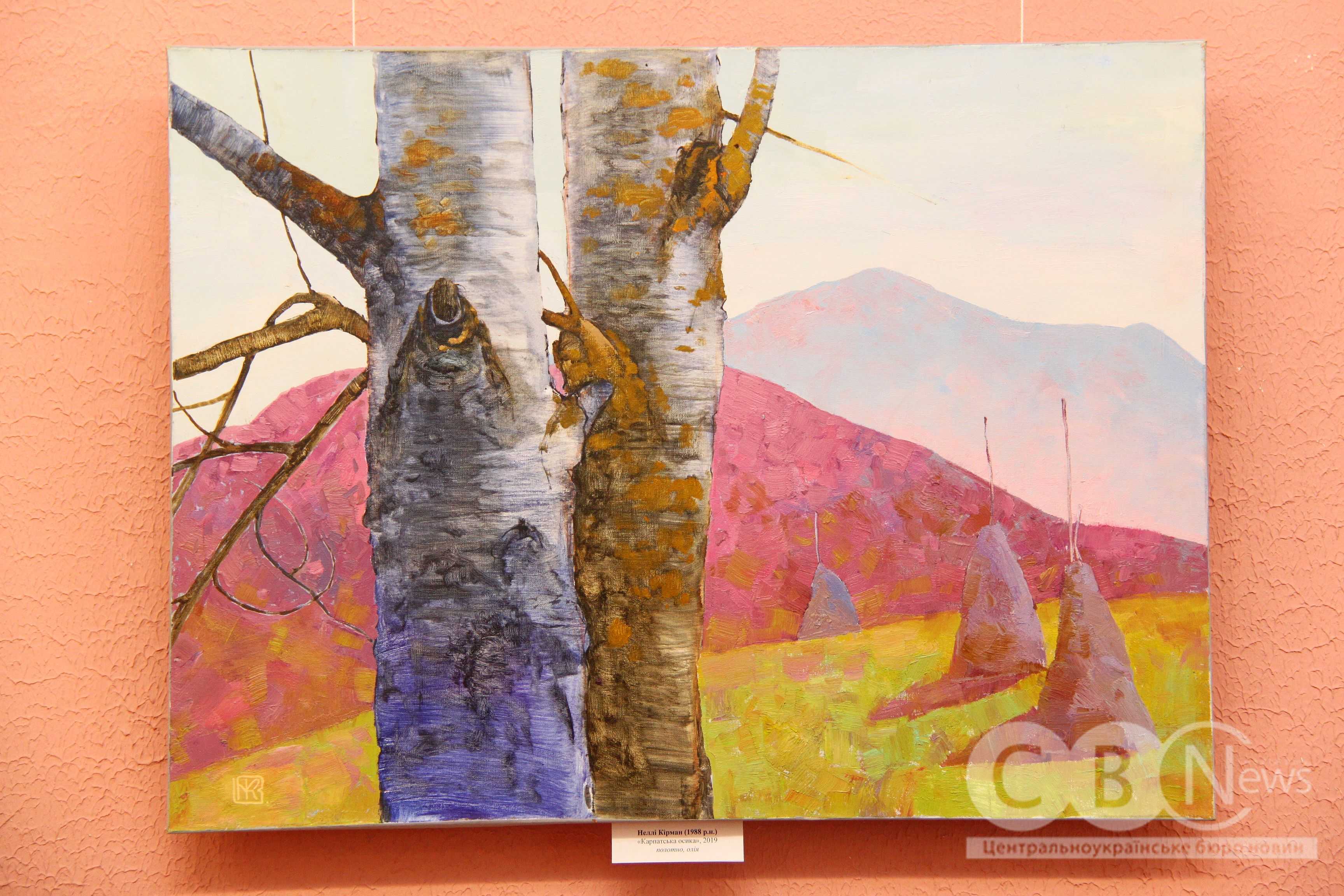 Присвячену оборонцям Донецького аеропорту виставку показали у Кропивницькому