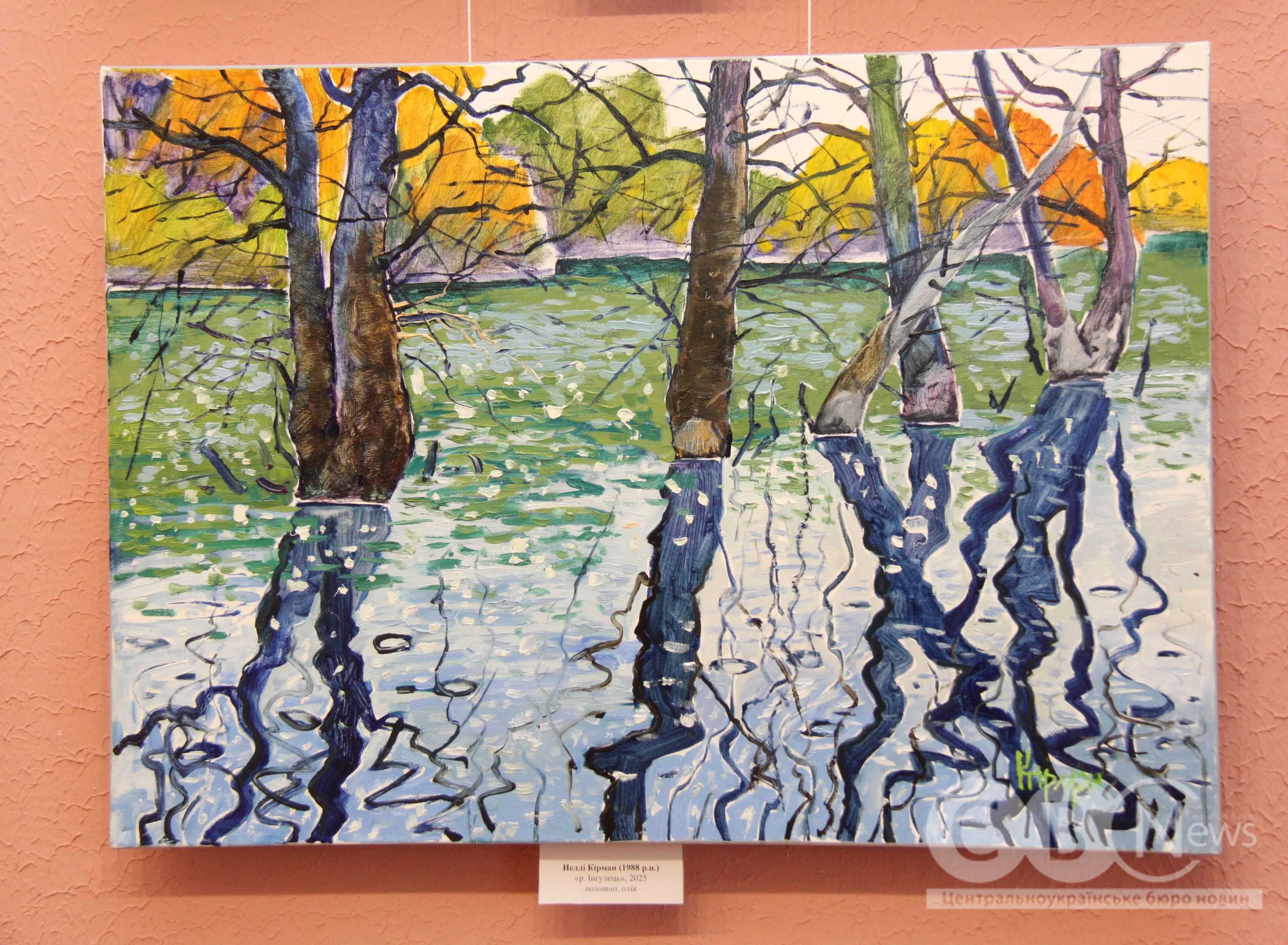 Присвячену оборонцям Донецького аеропорту виставку показали у Кропивницькому